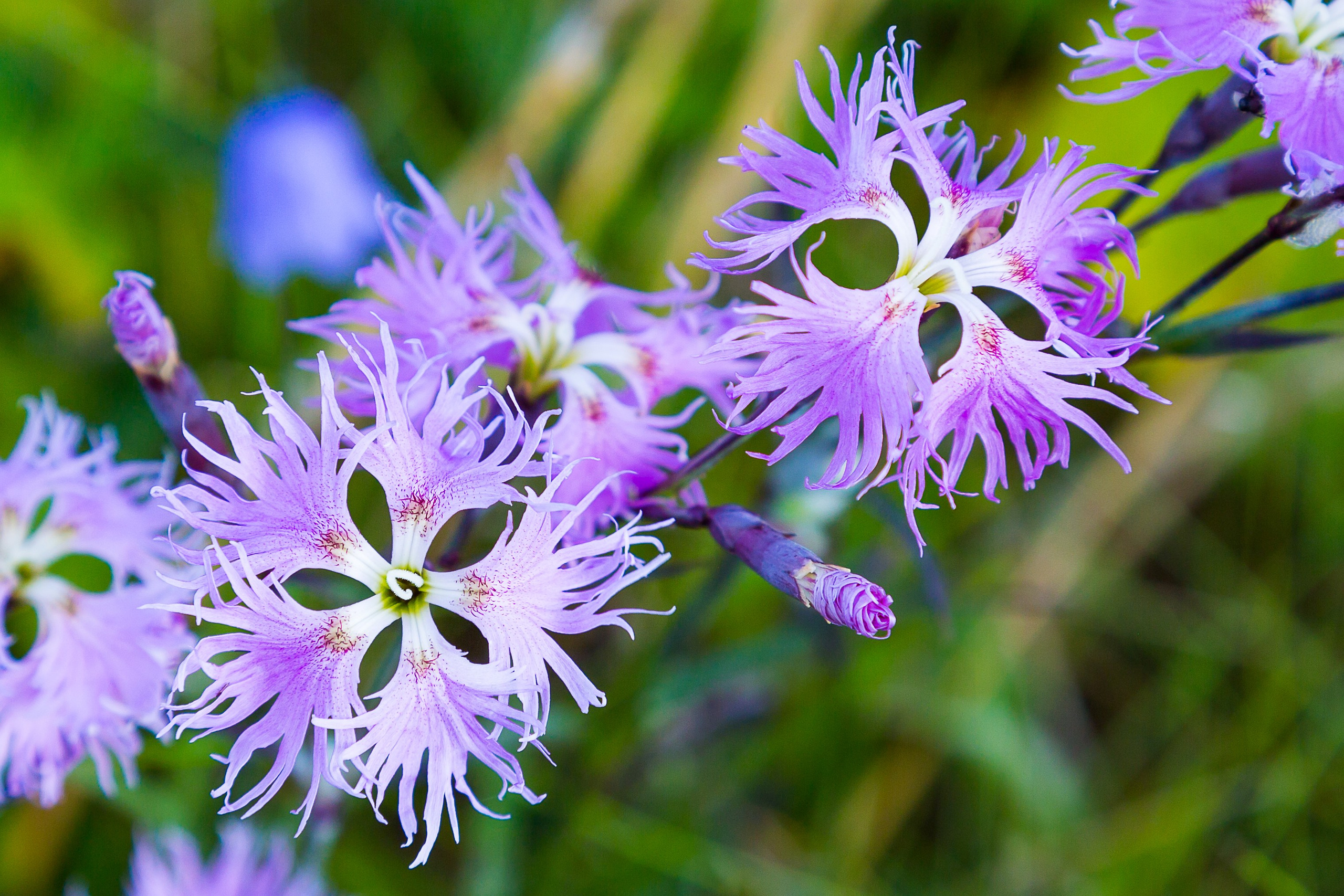 Фиорд Долгая щель. Пейзажи Крайнего Севера. Баренцево море, Рыбачий, Средний, Немецкий
