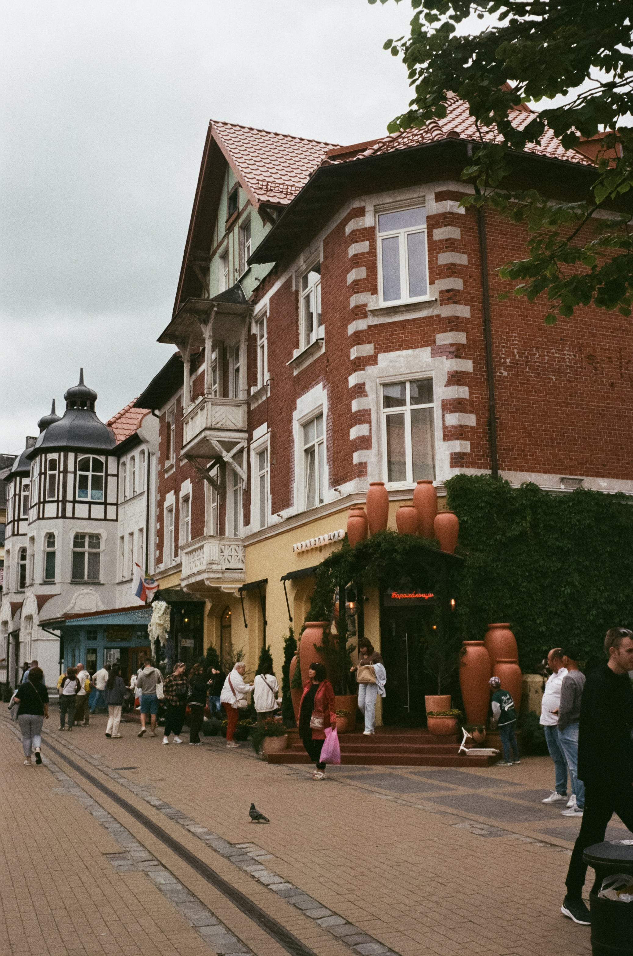 Калининград остров Канта, Кафедральный собор / Minox 35 GT (2)