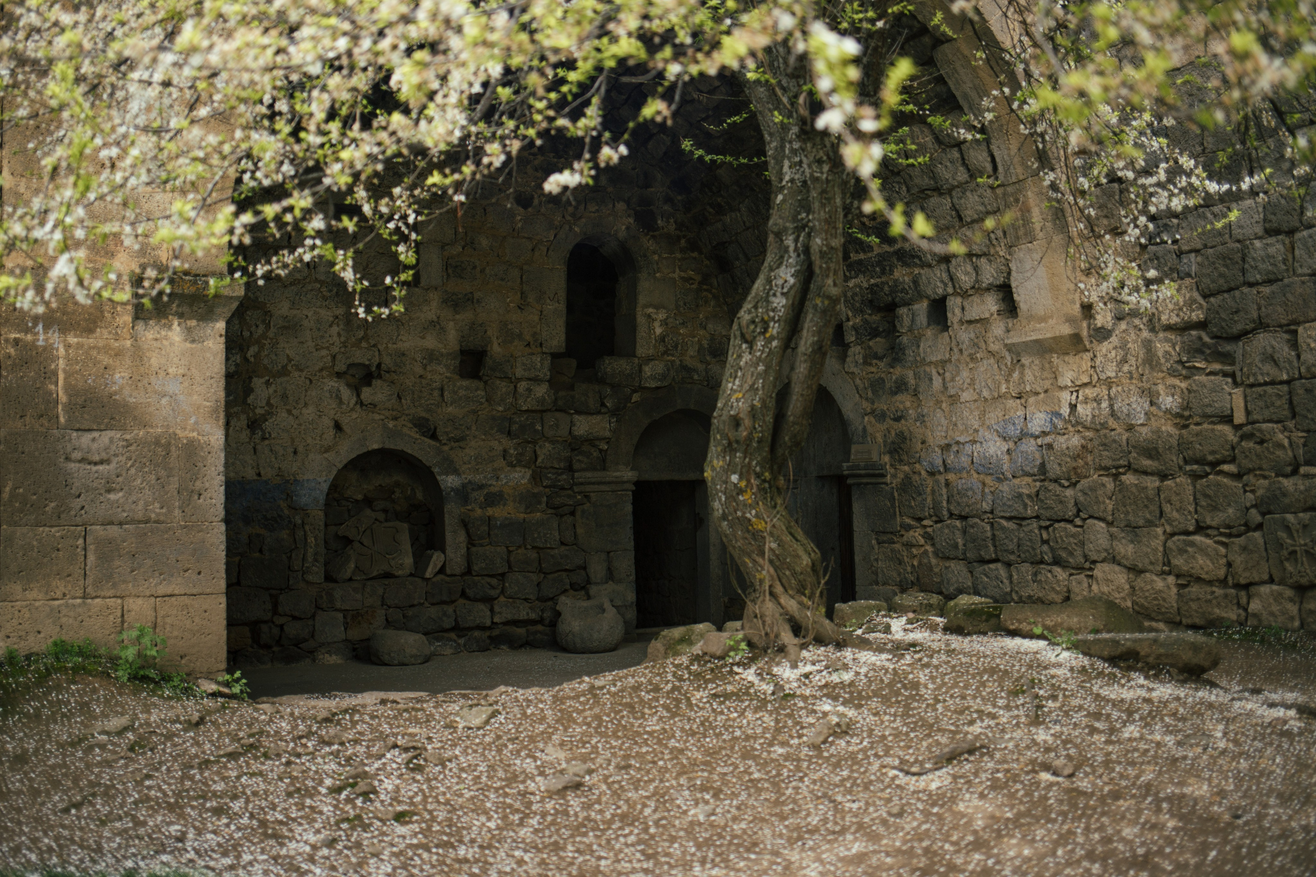 Armenia. Photographer Alina Skitovich