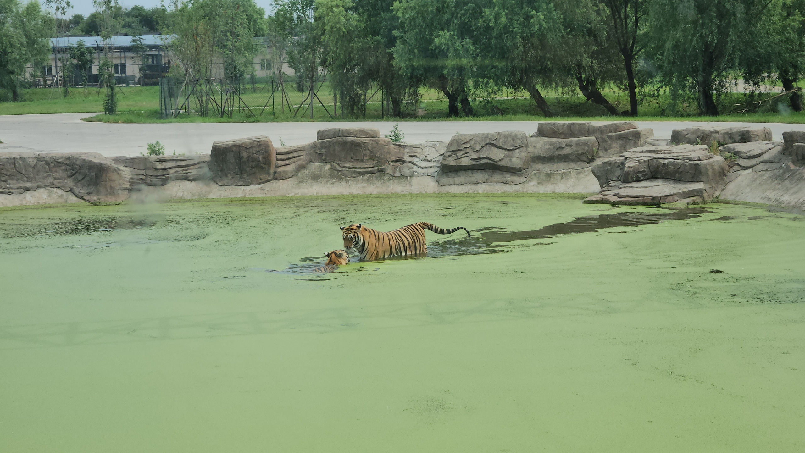 Китай. Июль 2025