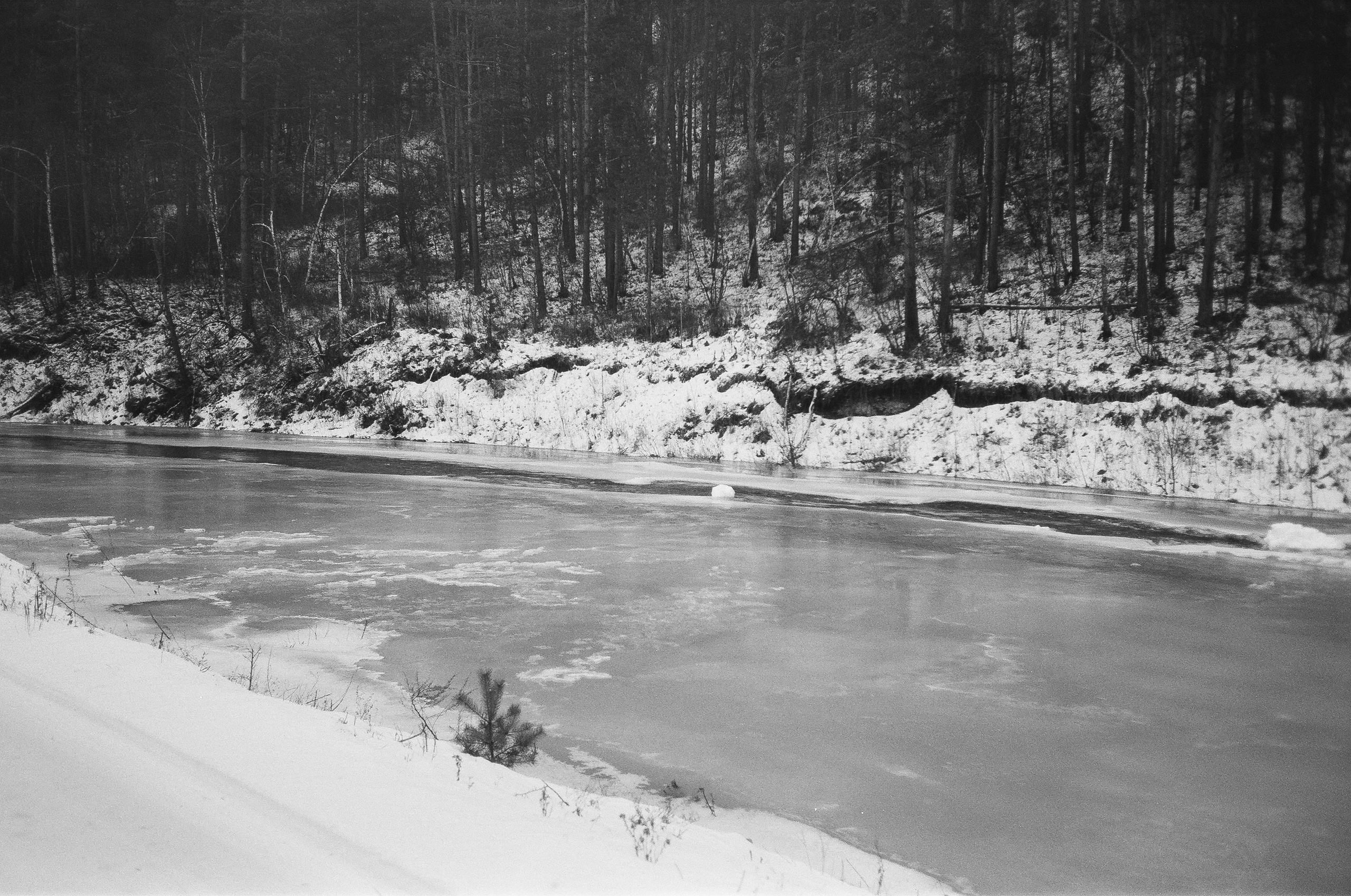 Деревня Берендеевка и кафе Лампа в верхах Алтая. Горы и поля Чемала. Фотограф-документалист Мария Осокина