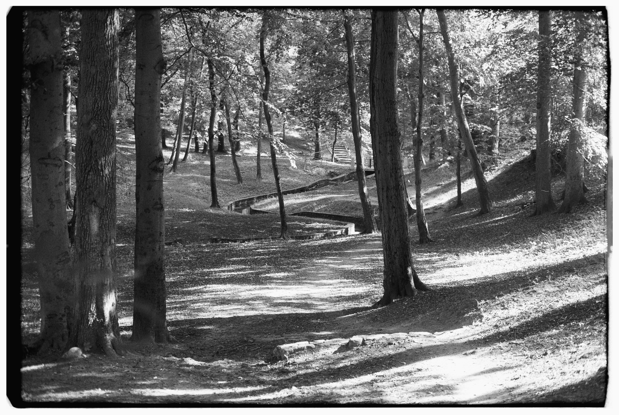 Калининград. Портретный фотограф Софья Хворостова