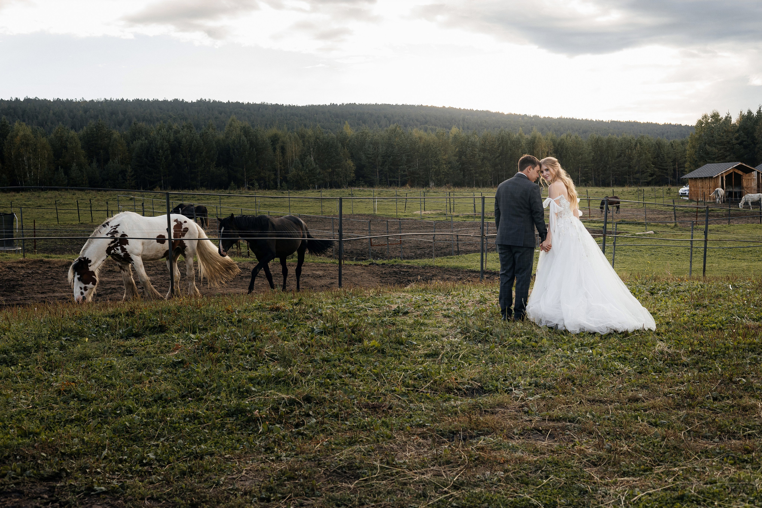 Нина и Александр