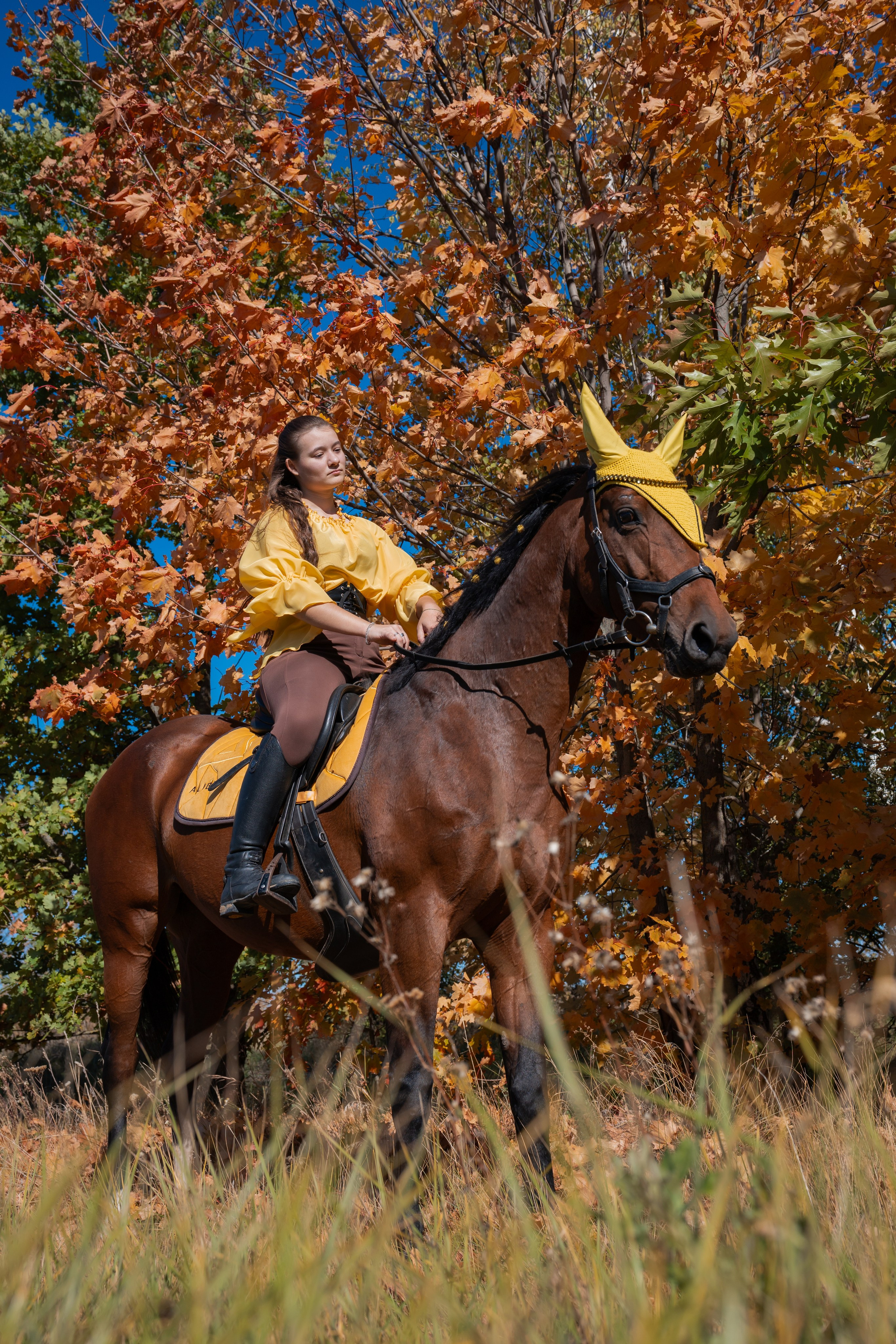 Фотосессия с лошадьми
