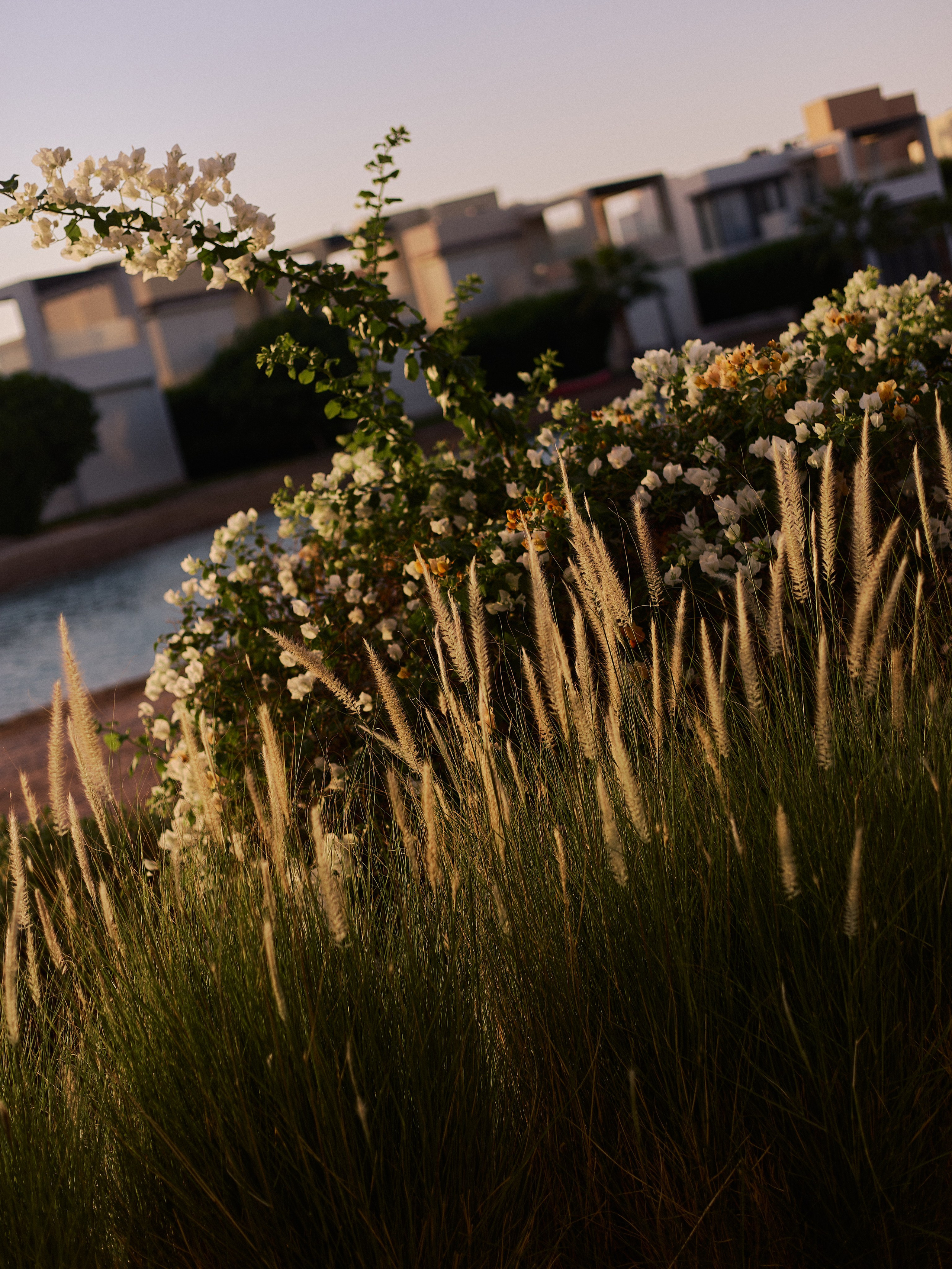 Другое 3. Jorgis Talè — photographer, kind person, teacher of arts and other mag