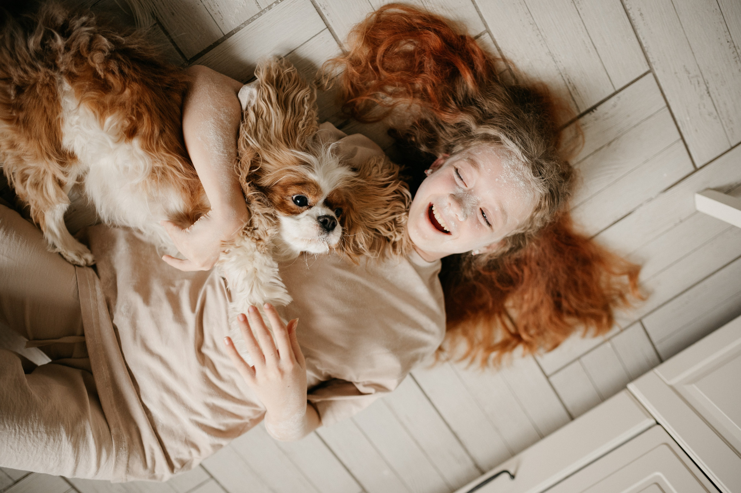 Даша, Диана, Дебби и маленькая крыска. Фотограф анималист в Москве Ольга Агушева