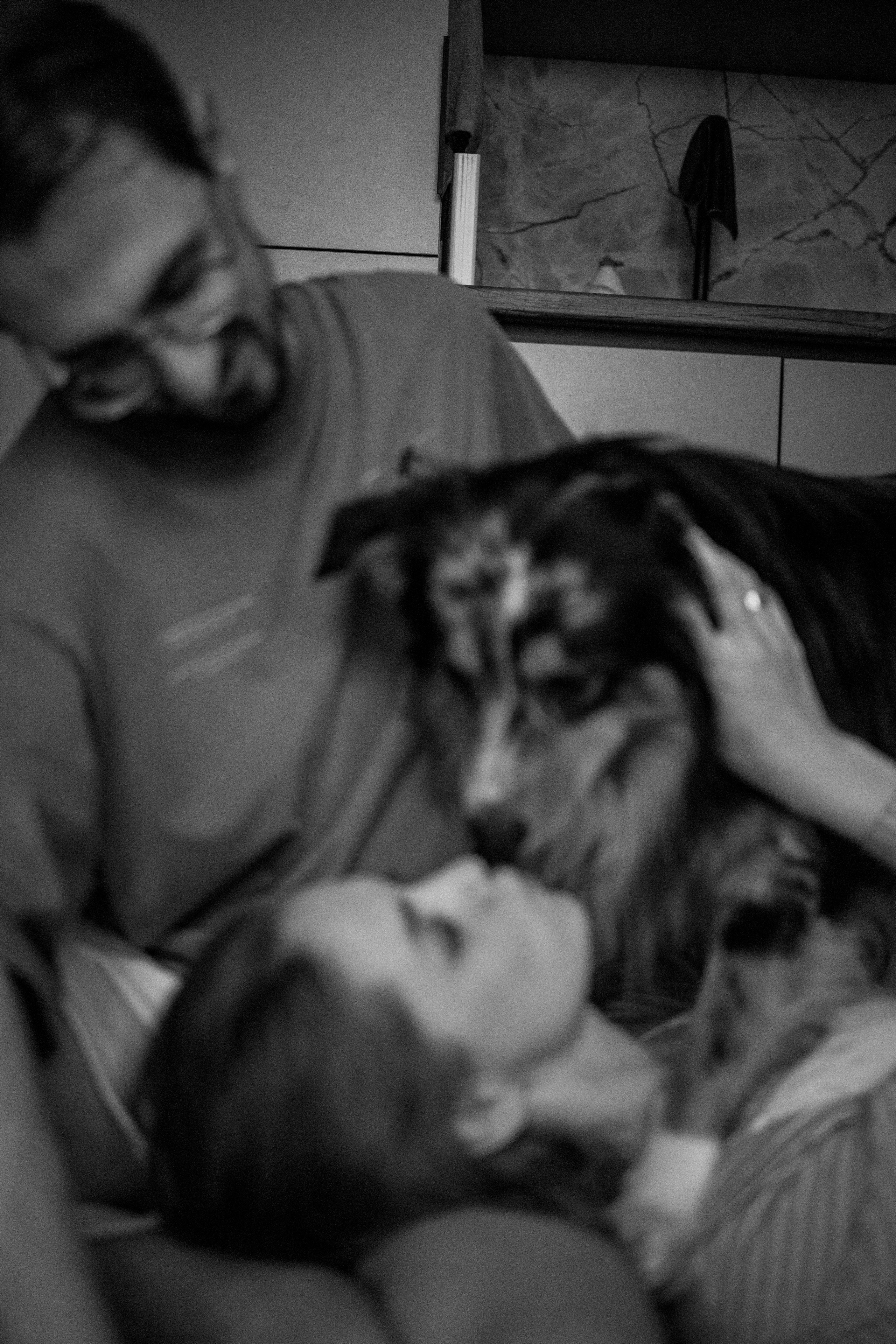 Настя, Никита и их Гром и Мяу. Фотограф — Анималист | Санкт-Петербург