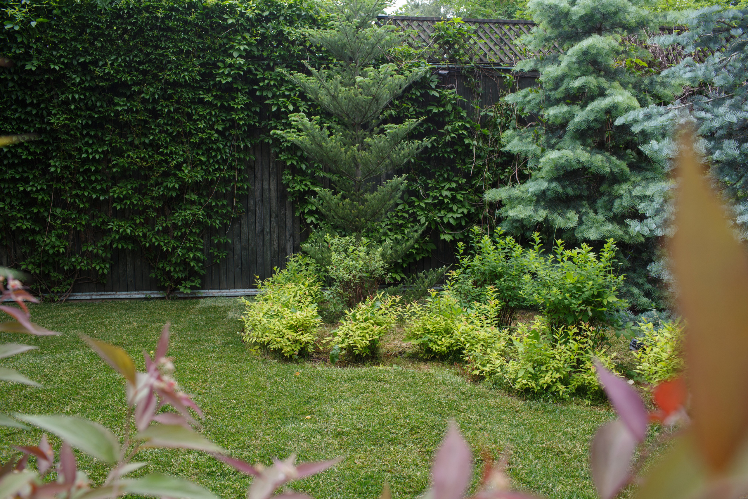 Ландшафтный дизайн. Фотограф Наталья Молчанова