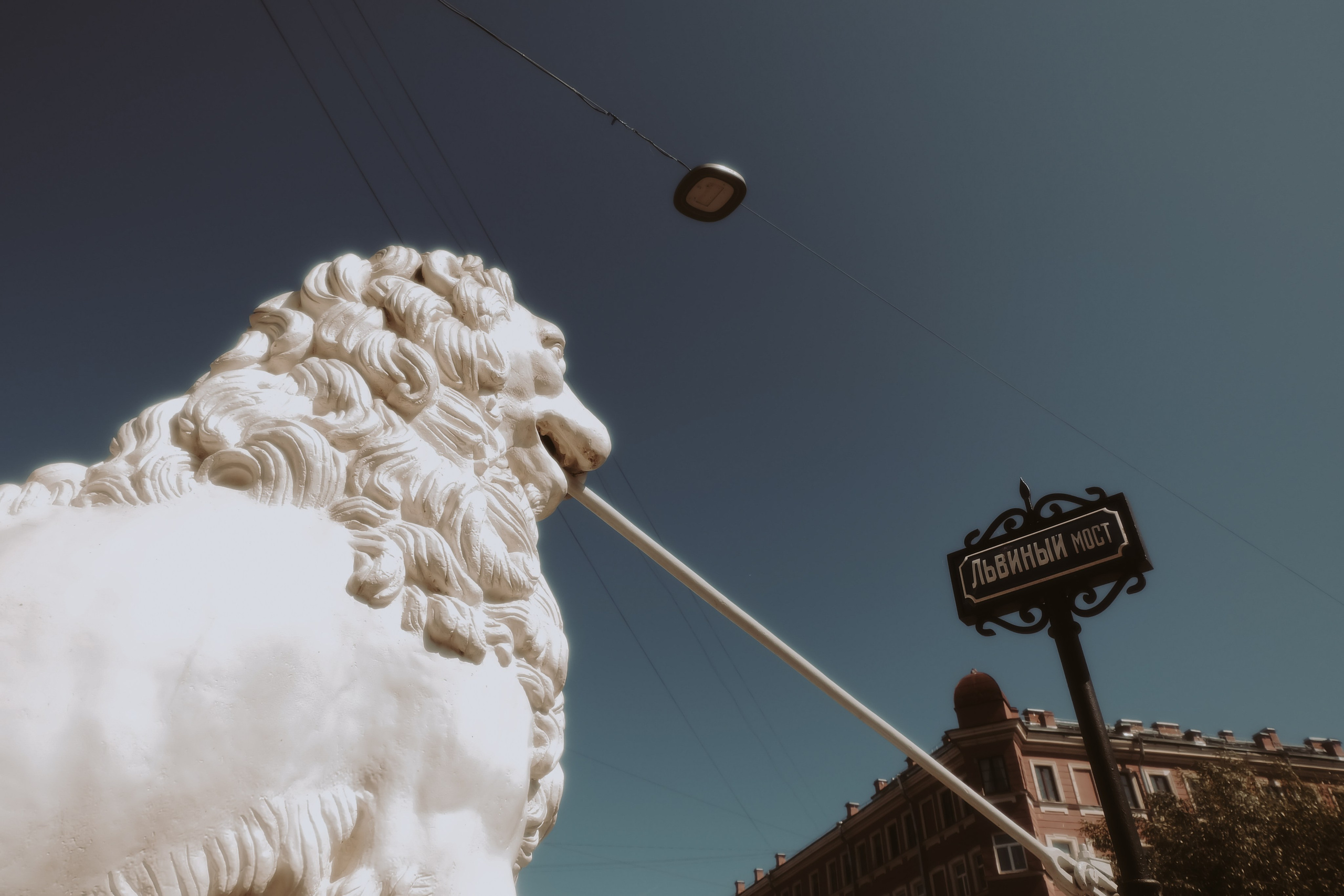 Жара в Питере. Портретный фотограф DanilNabody