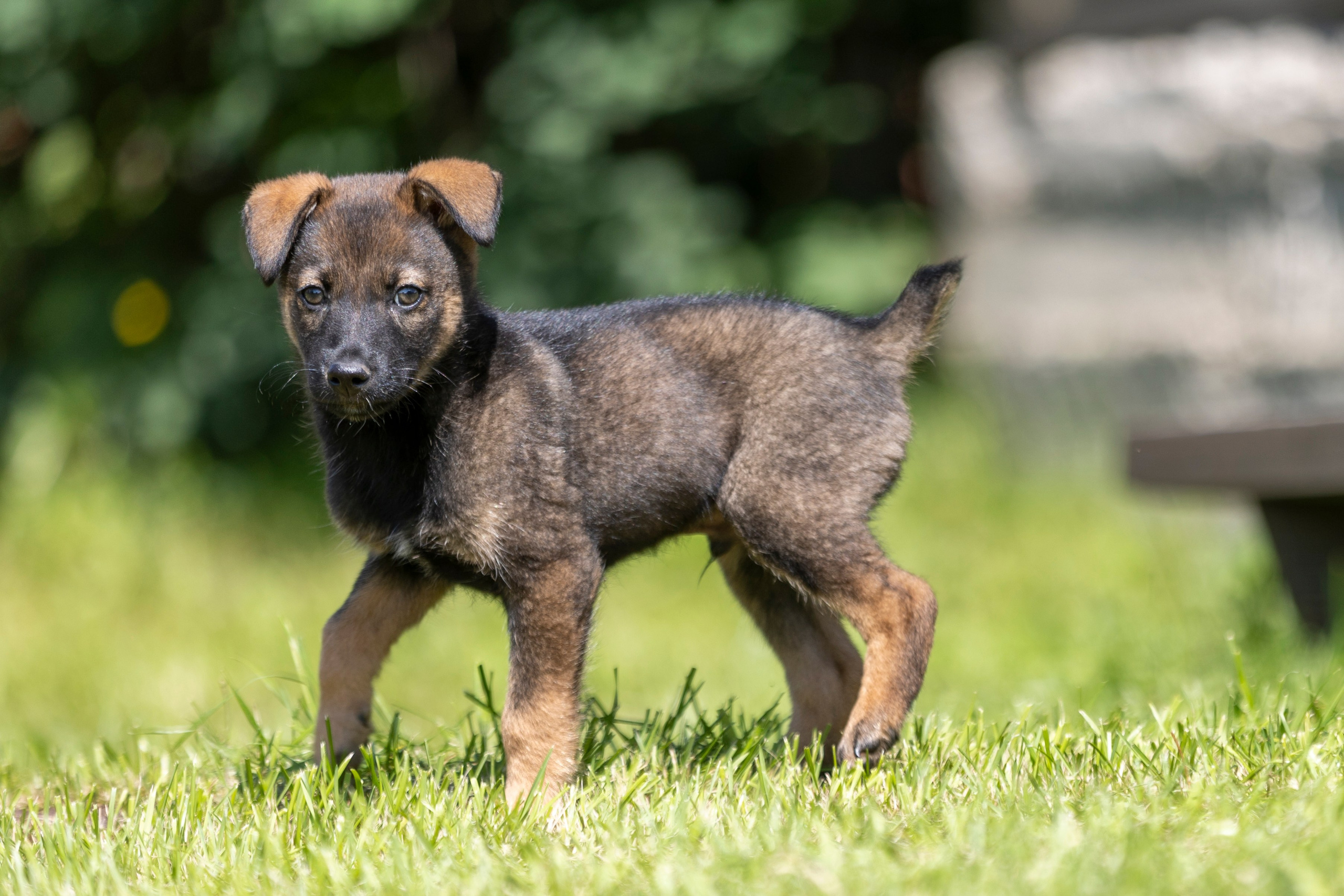 Бездомыши. Фотограф 📸 семейный, предметный, репортажный