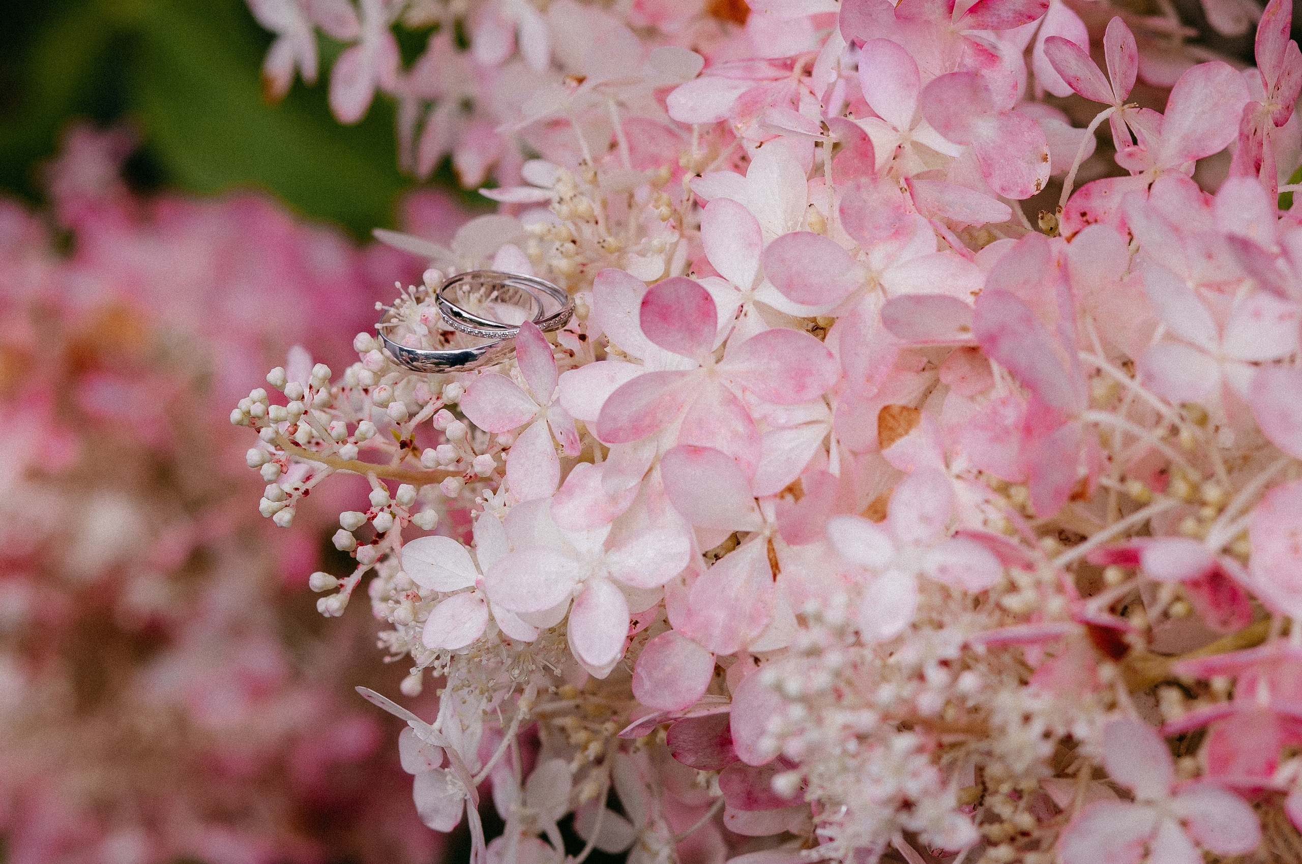 ВИТАЛИЙ И ВИКТОРИЯ. Свадебный и семейный фотограф Иваново Елена Угодина