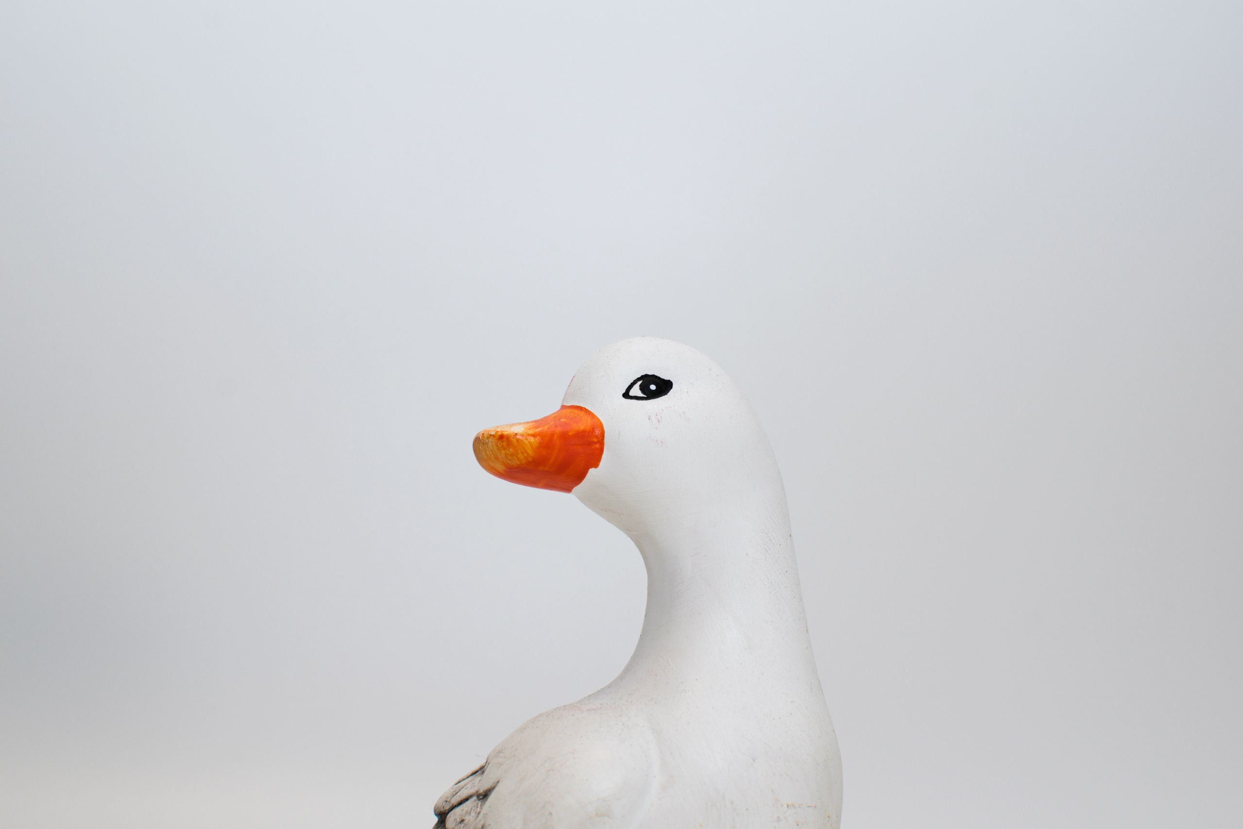 Предметная фотосессия Кемерово, Зайцев Андрей andreyzaitsev.ru Кемерово фотограф