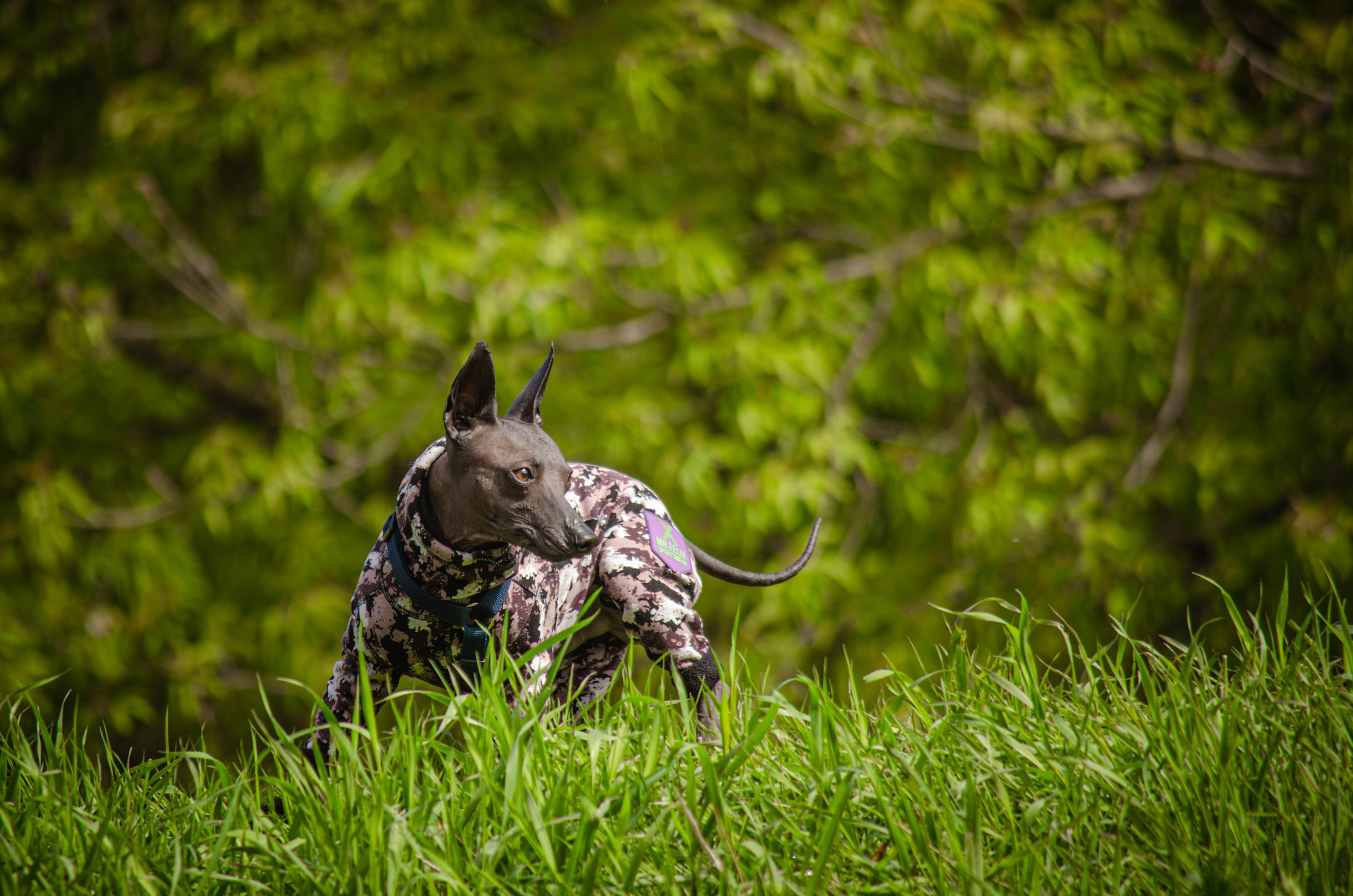 Сёма. Фотограф Светлана Блинова, Москва и Московская область