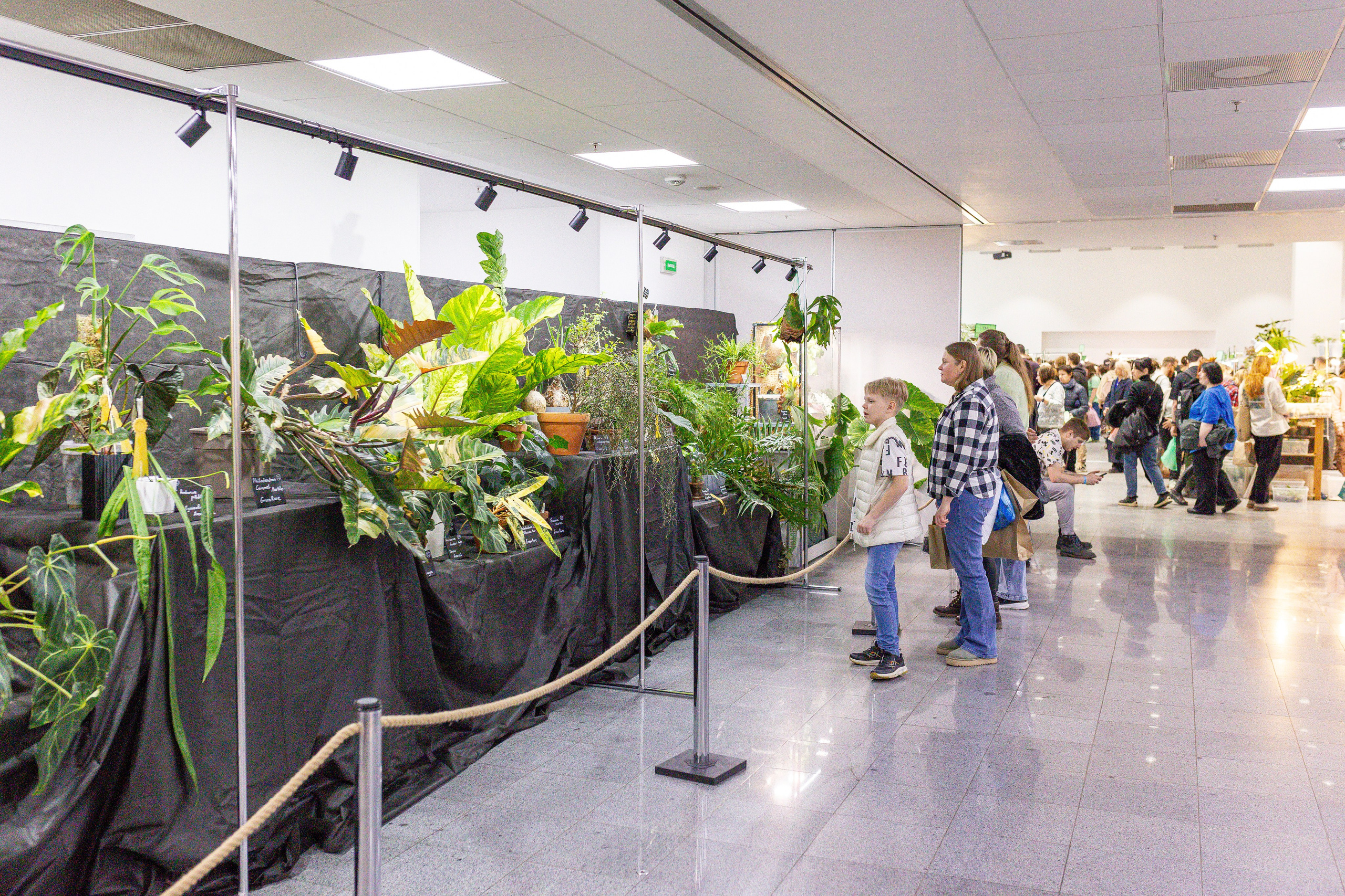 Монстериум апрель 2025. Александра Куликова фотограф, Москва