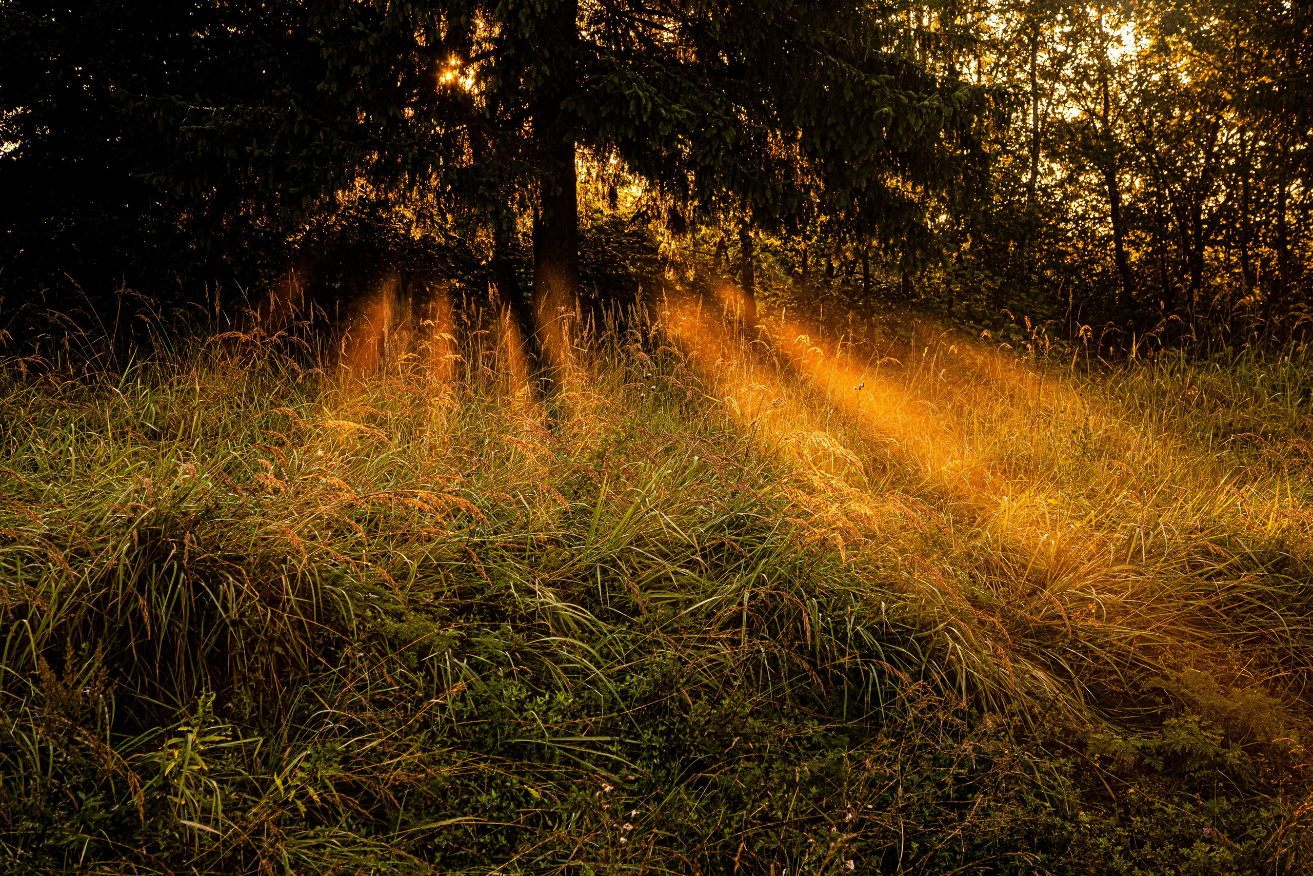 Коля. Черно-белый фотограф Дмитрий Пчелкин