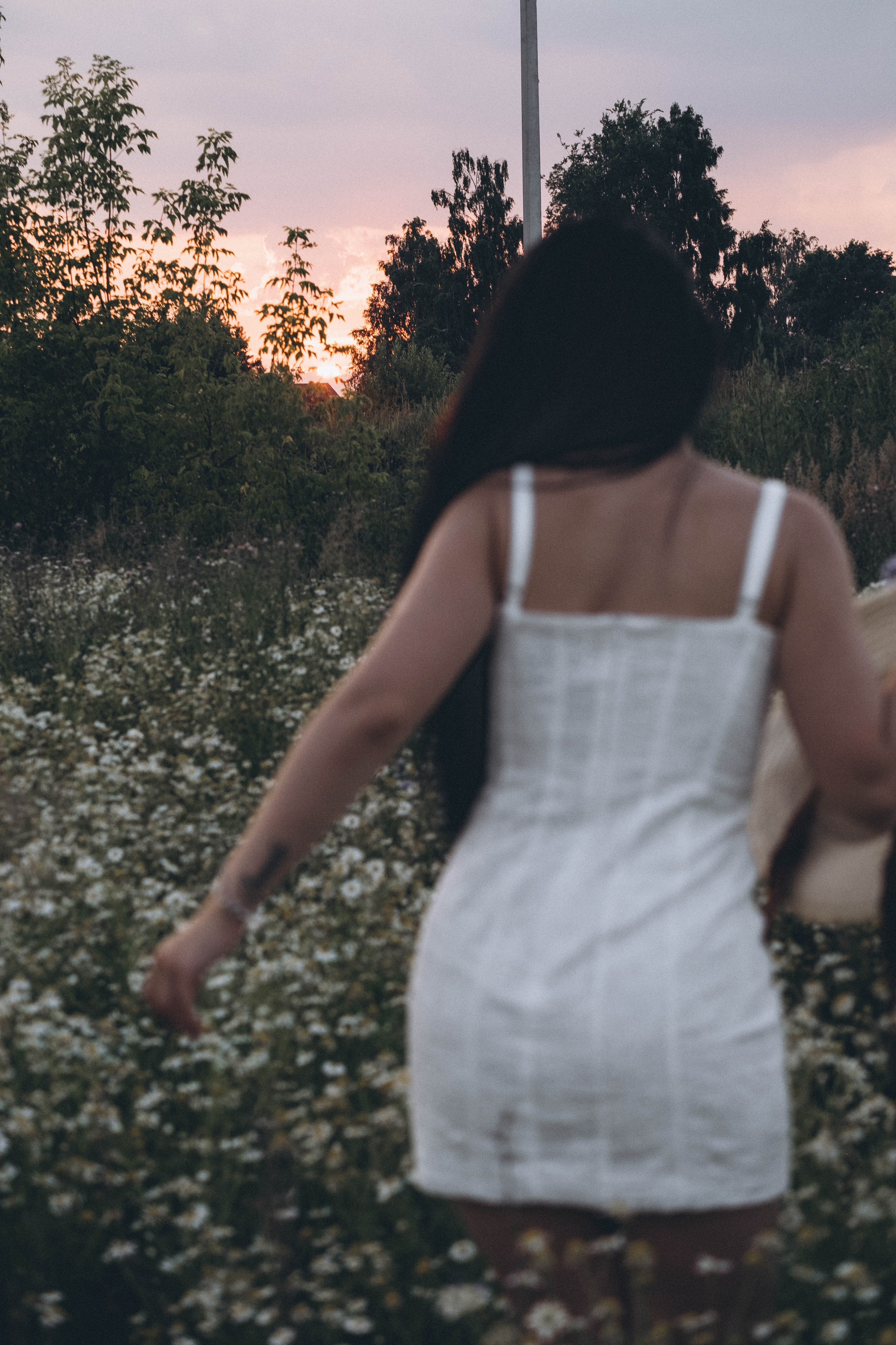 Ромашковое поле. Профессиональный фотограф, Санкт-Петербург — Виктория Богомолова