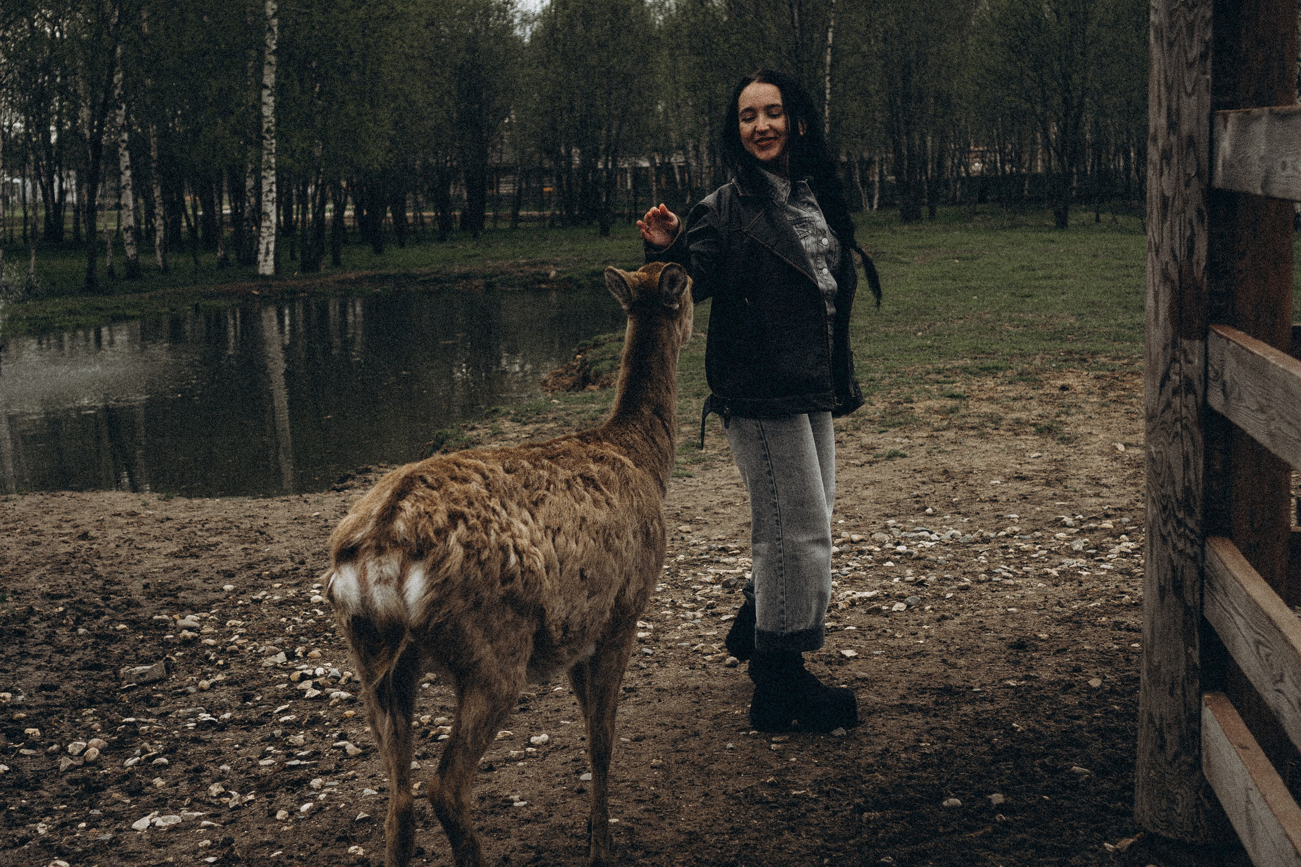 ОЛЕНЬЯ ФЕРМА В ТВЕРИ. Профессиональный фотограф, Санкт-Петербург — Виктория Богомолова