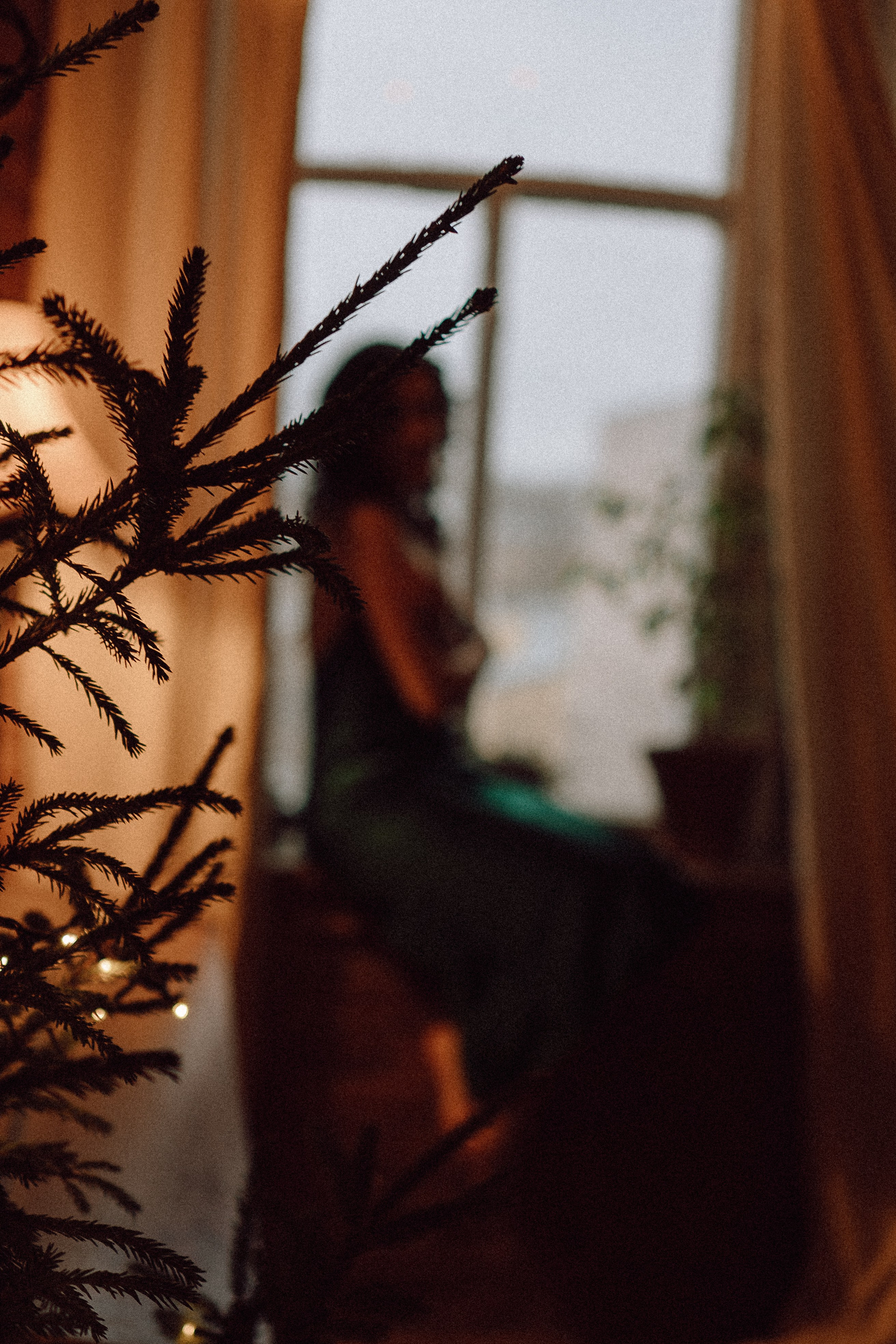 Любовь с новогодним вайбом. Профессиональный фотограф, Санкт-Петербург — Виктория Богомолова