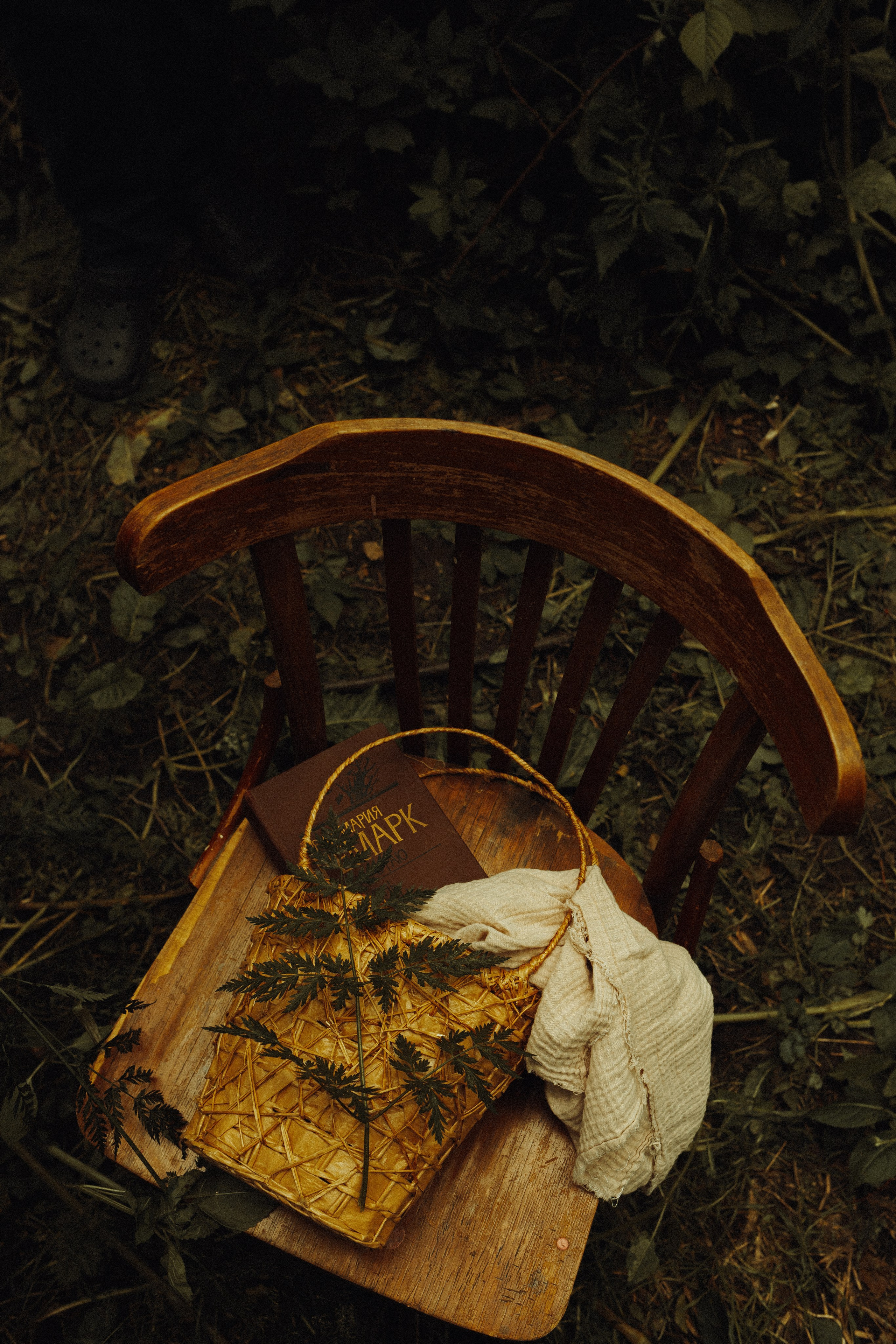 Семейный детский фотограф в Калининграде Анна Каратай