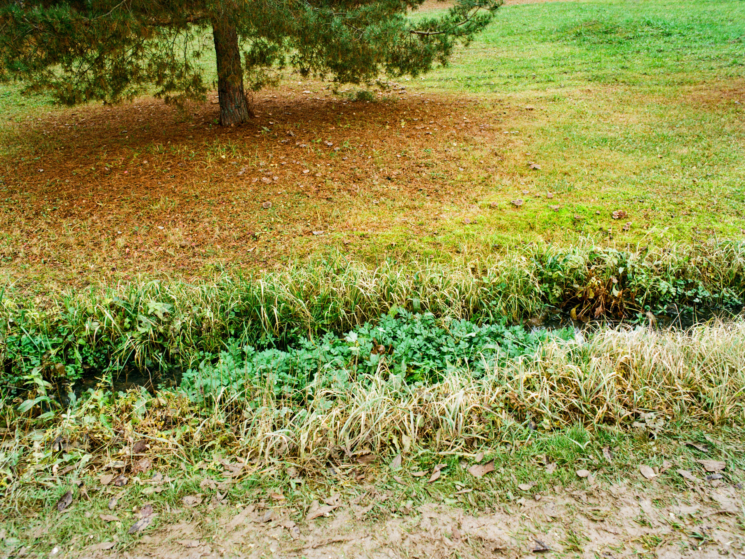 Roadtrip. Maria Abdullaeva