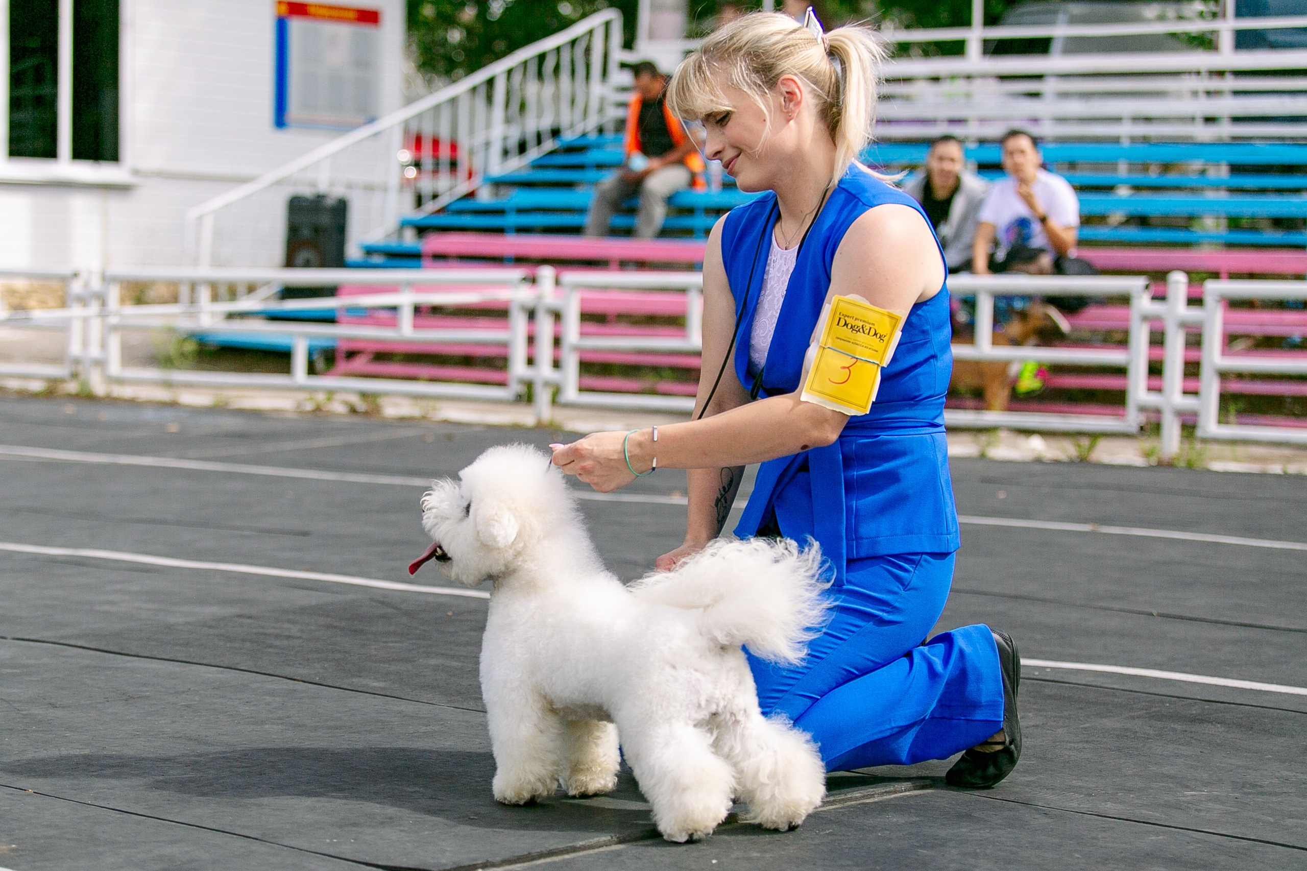 Окунулась вновь в атмосферу выставки…. Школьный фотограф в Туле Светлана Привезенцева