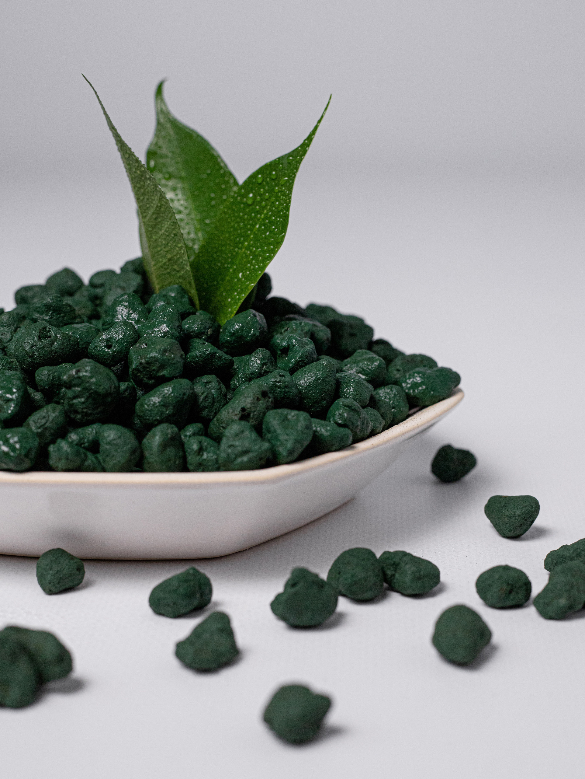 Керамзит декоративный. Зеленый. 2022. Фотограф Пермь. Свадьбы. Семья и дети, школа, д. сад. Фотокниги