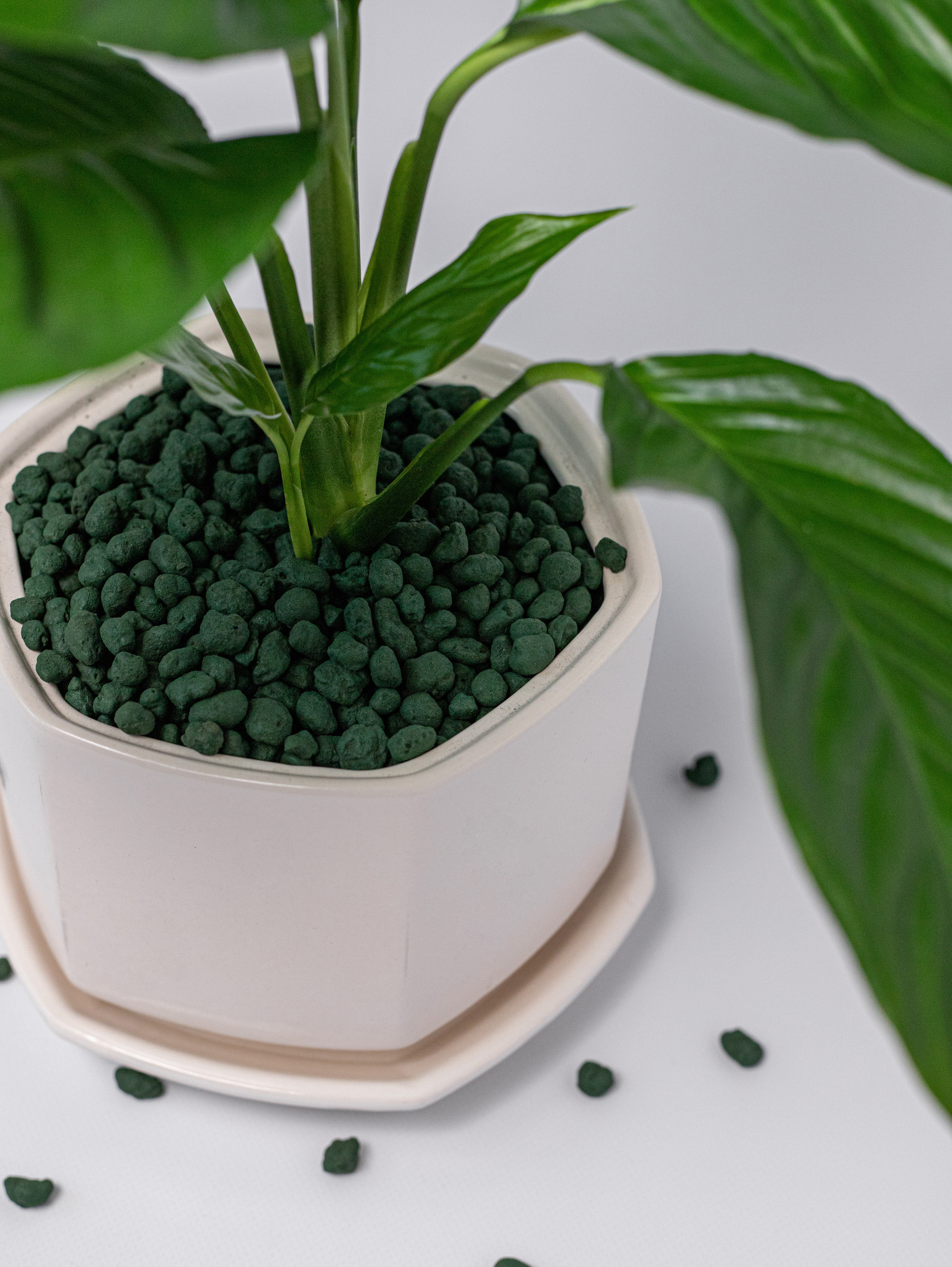 Керамзит декоративный. Зеленый. 2022. Фотограф Пермь. Свадьбы. Семья и дети, школа, д. сад. Фотокниги