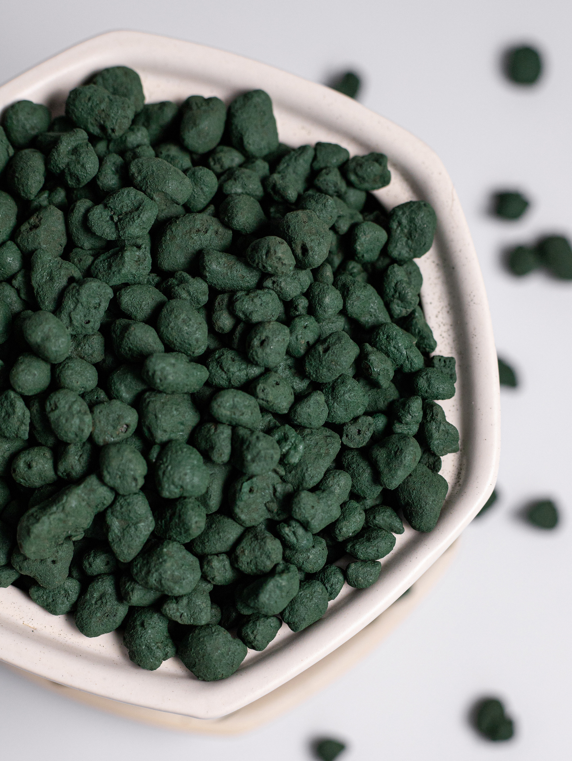 Керамзит декоративный. Зеленый. 2022. Фотограф Пермь. Свадьбы. Семья и дети, школа, д. сад. Фотокниги