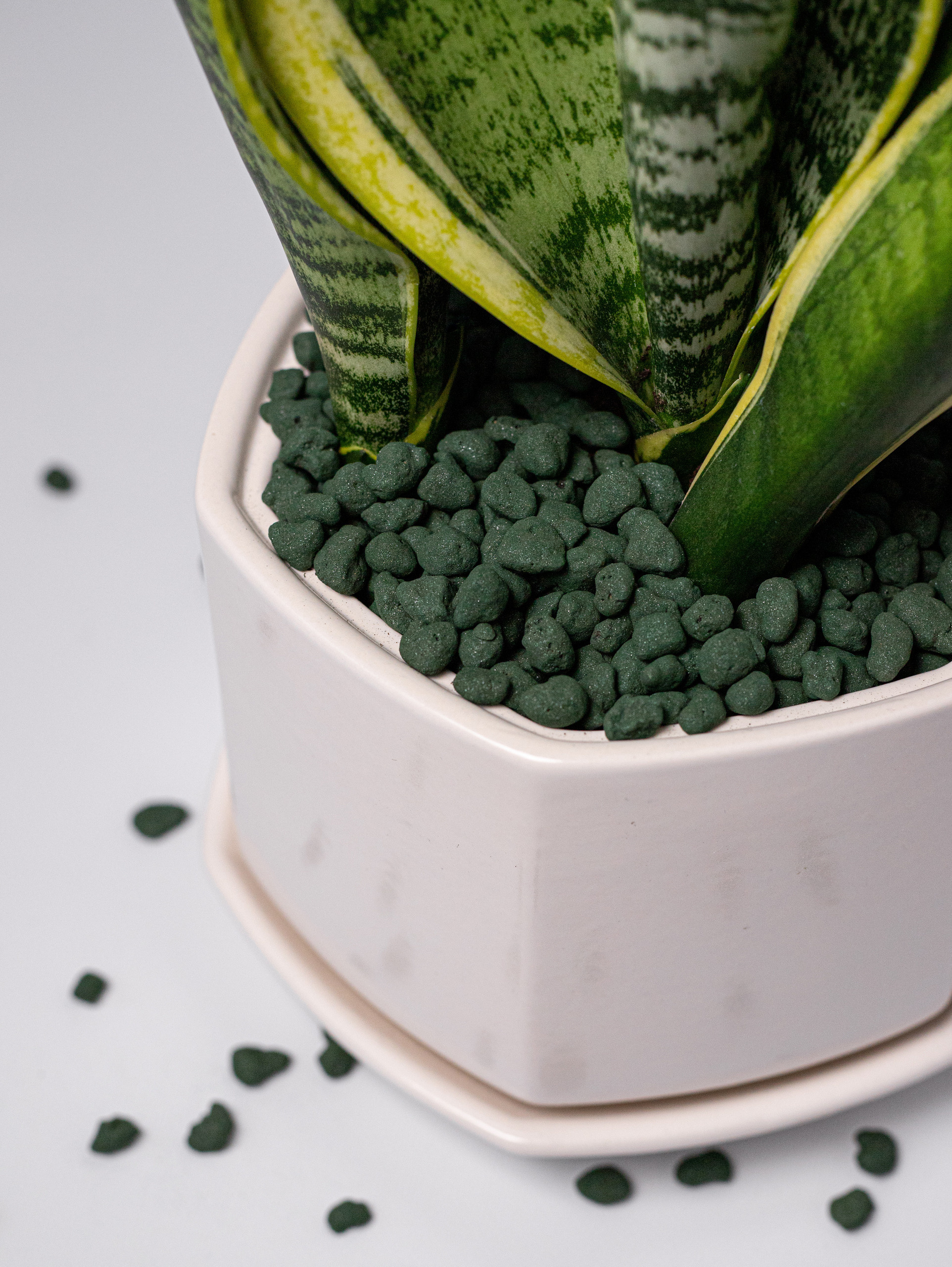 Керамзит декоративный. Зеленый с блёстками. 2022. Фотограф Пермь. Свадьбы. Семья и дети, школа, д. сад. Фотокниги