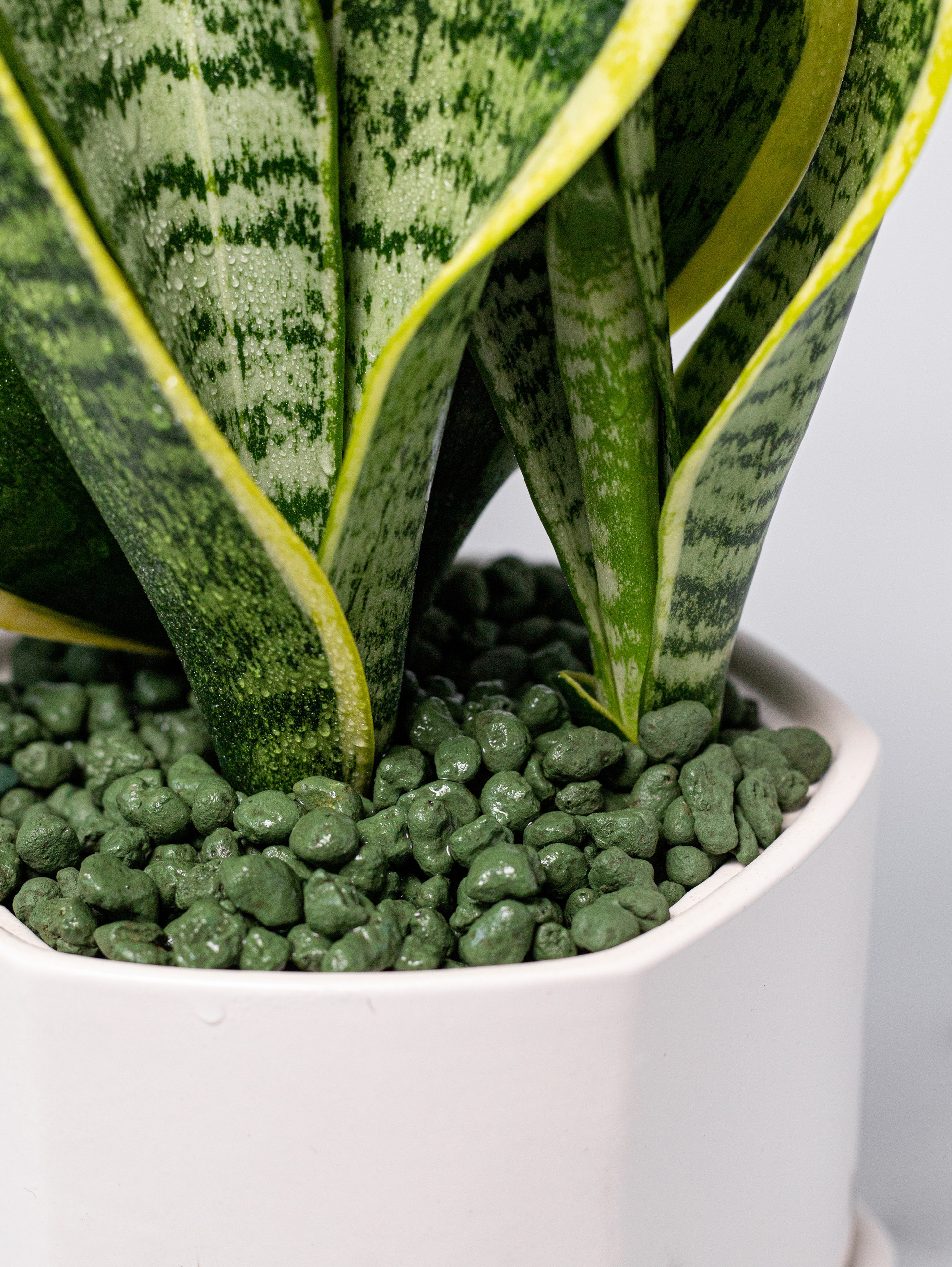 Керамзит декоративный. Хаки. 2022. Фотограф Пермь. Свадьбы. Семья и дети, школа, д. сад. Фотокниги