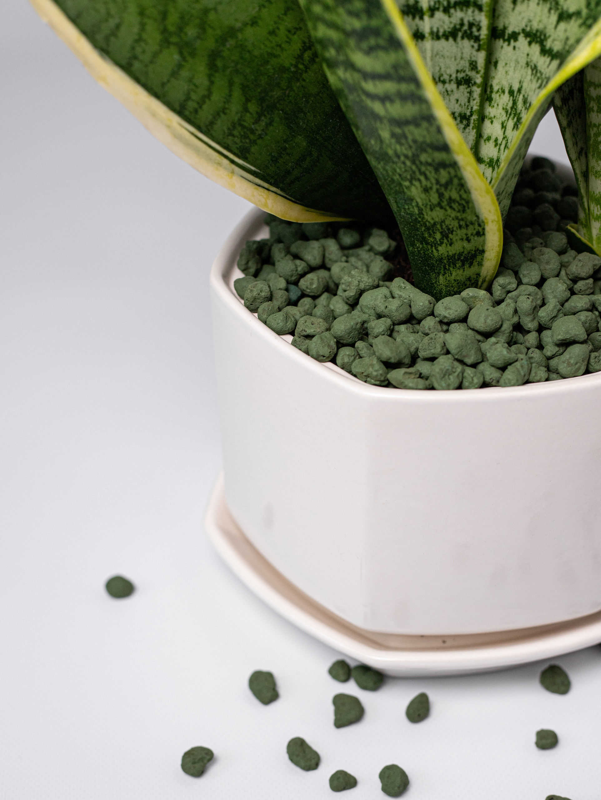 Керамзит декоративный. Хаки. 2022. Фотограф Пермь. Свадьбы. Семья и дети, школа, д. сад. Фотокниги