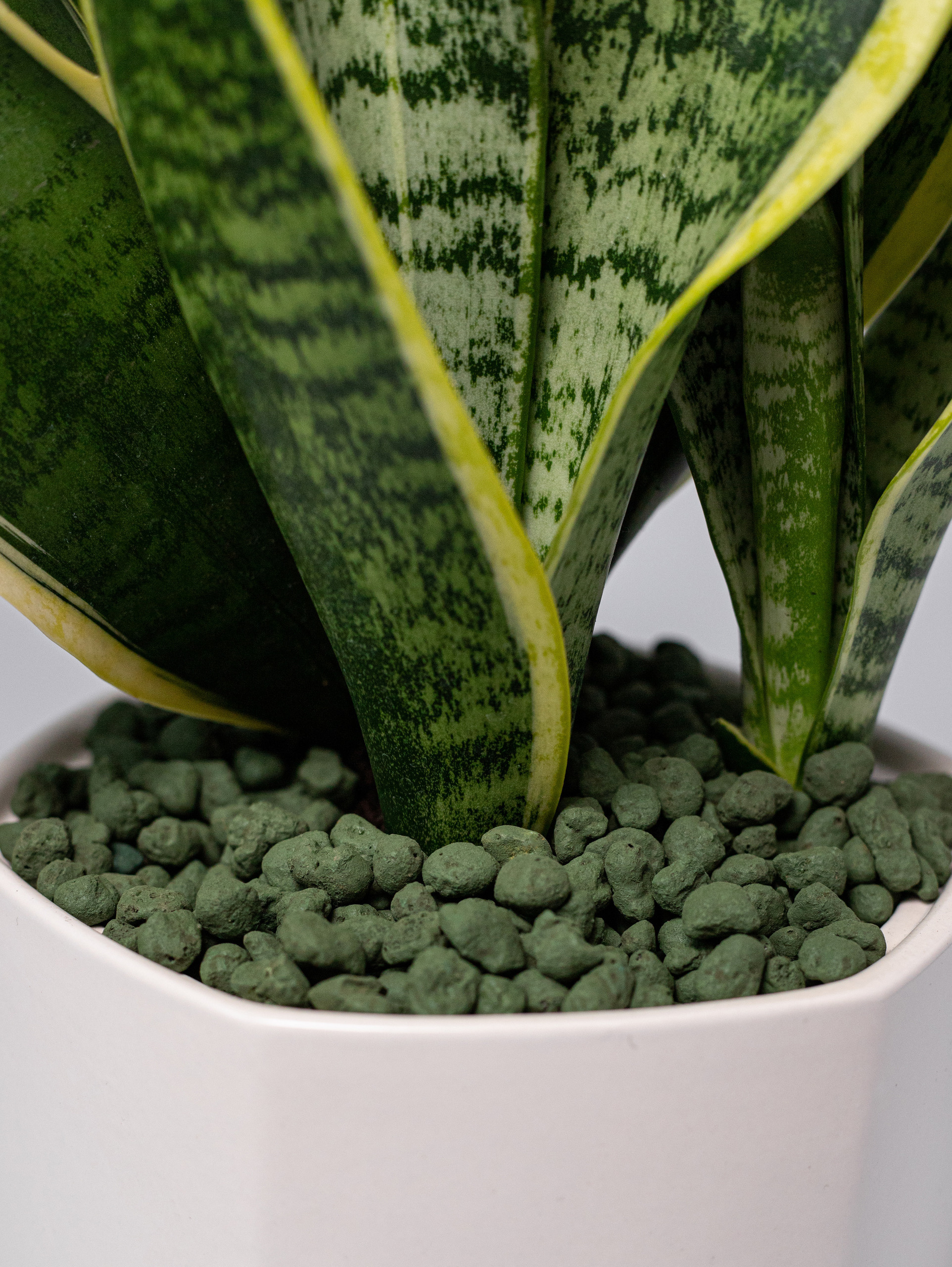 Керамзит декоративный. Хаки. 2022. Фотограф Пермь. Свадьбы. Семья и дети, школа, д. сад. Фотокниги