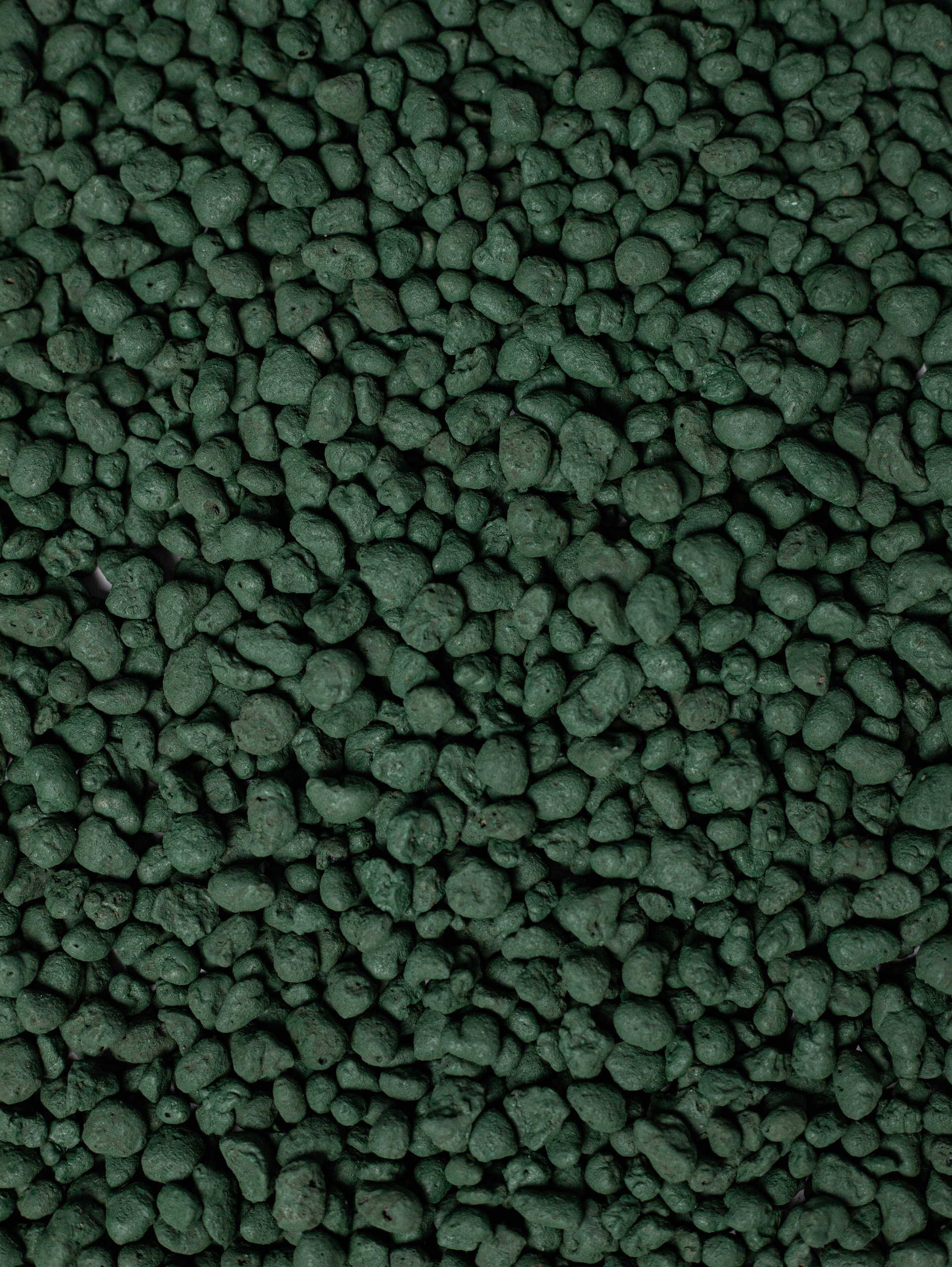 Керамзит декоративный. Зеленый. 2022. Фотограф Пермь. Свадьбы. Семья и дети, школа, д. сад. Фотокниги