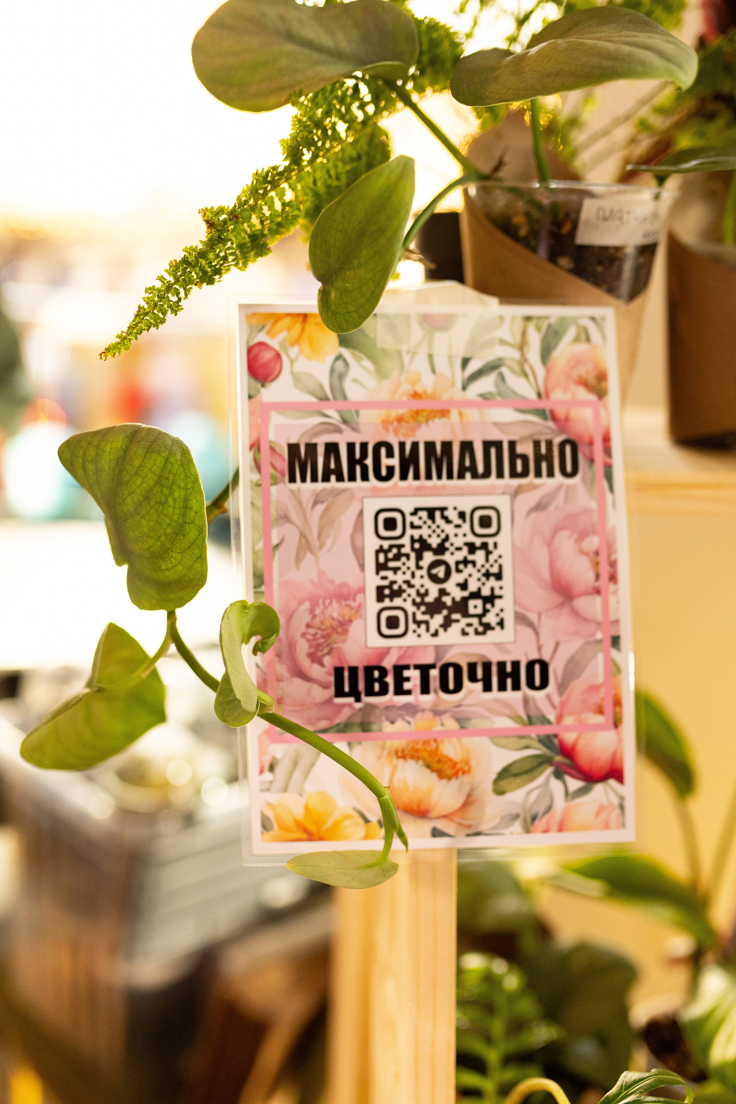 Growbox 1–2 марта. Александра Куликова фотограф, Москва