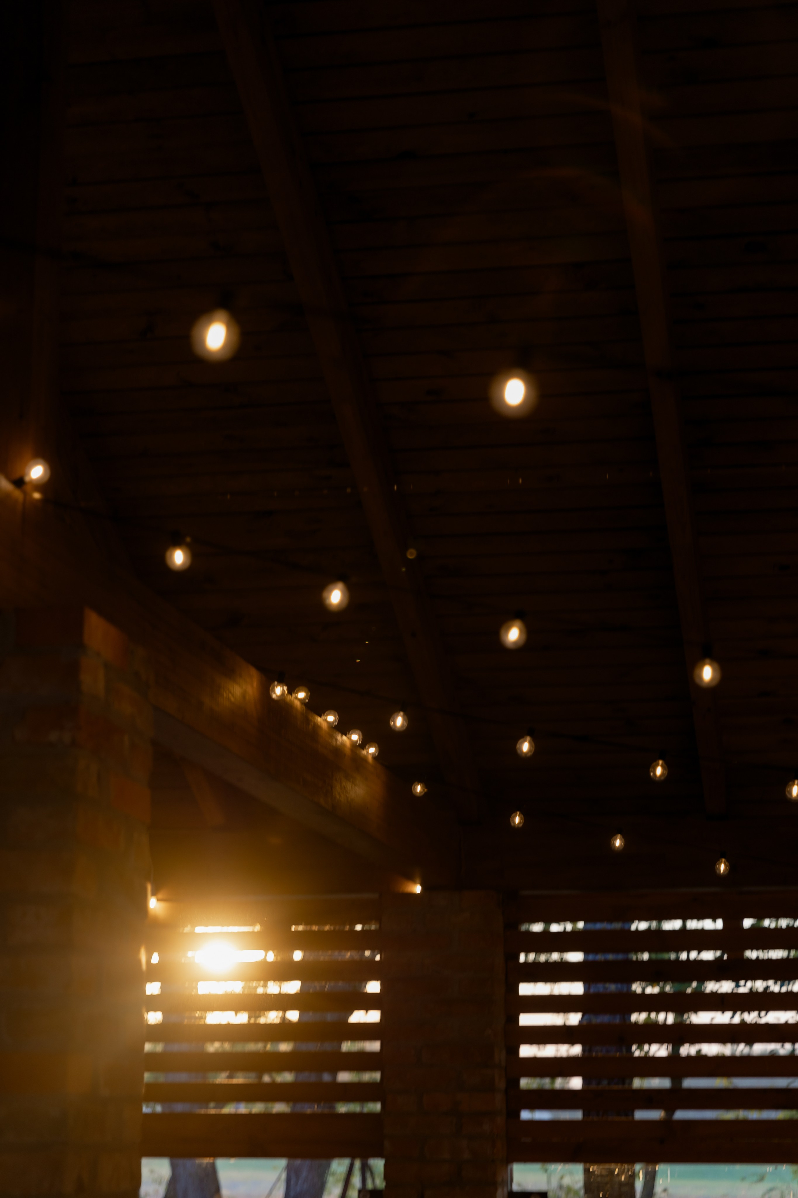 Виноградники. Dima Lemeshevsky