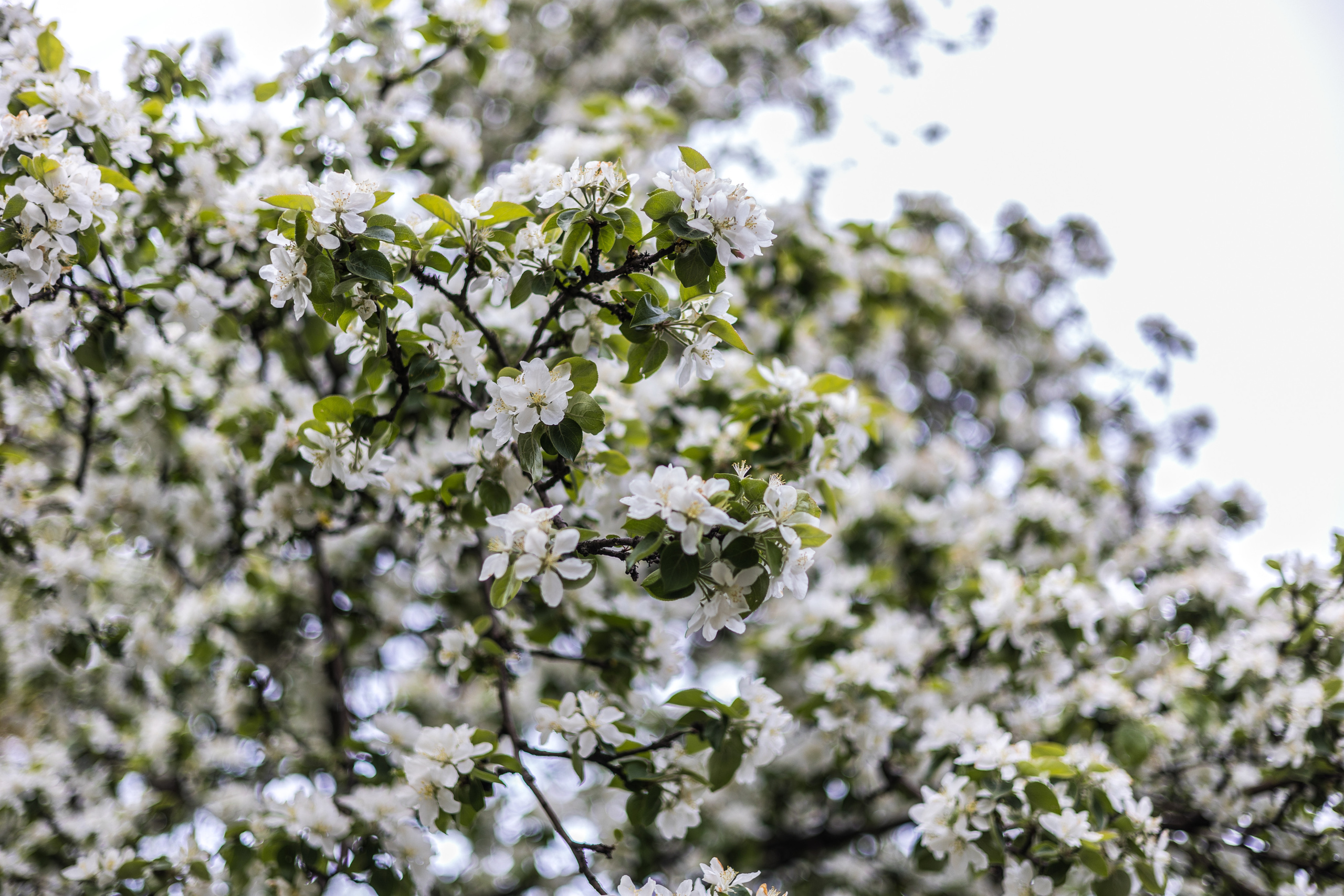 Коллекция пейзажных фотографий. Photographer Sonkina Tatiana (Tanya Ash)