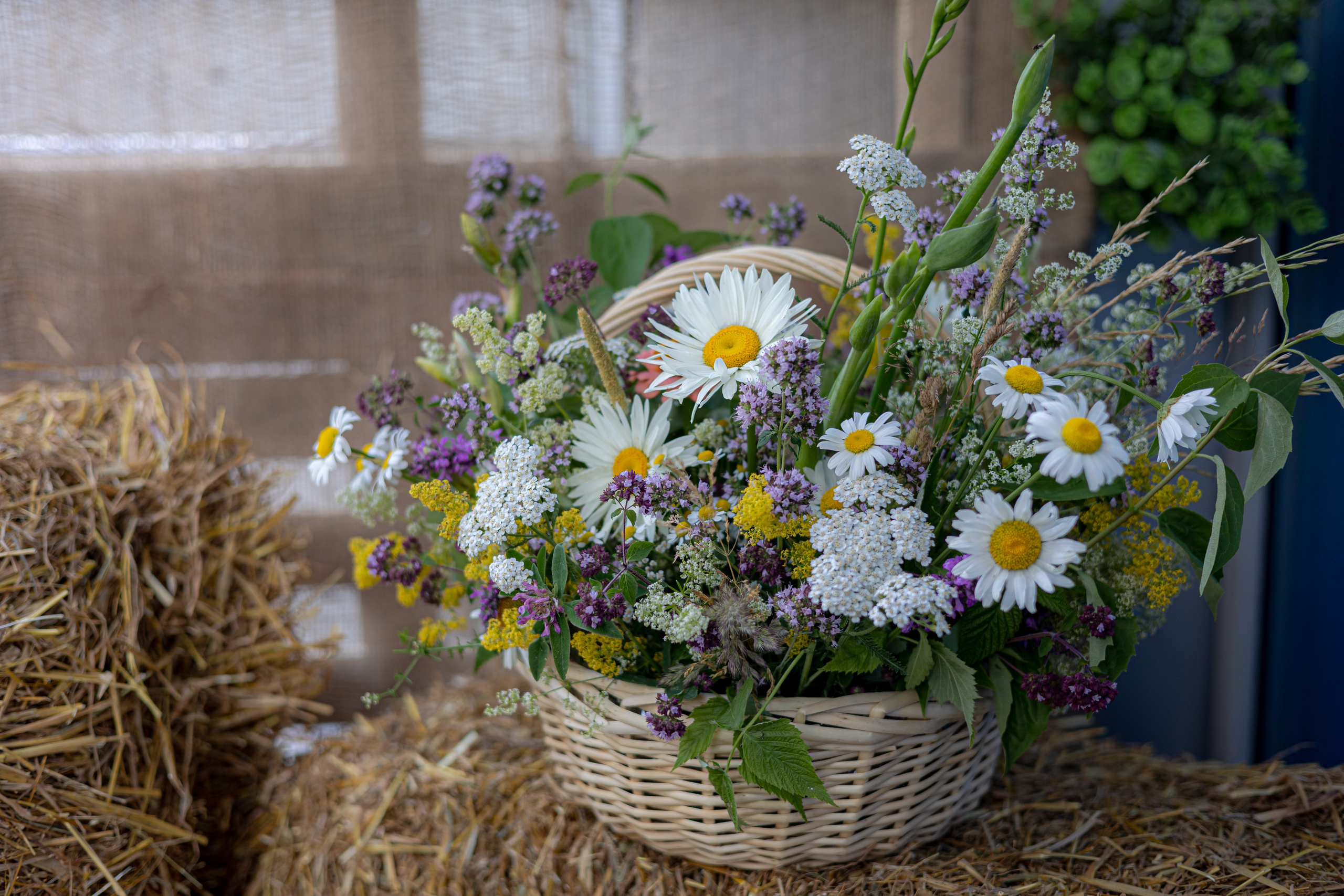 Устойчивая среда Росатома. Фотограф Сонкина Татьяна