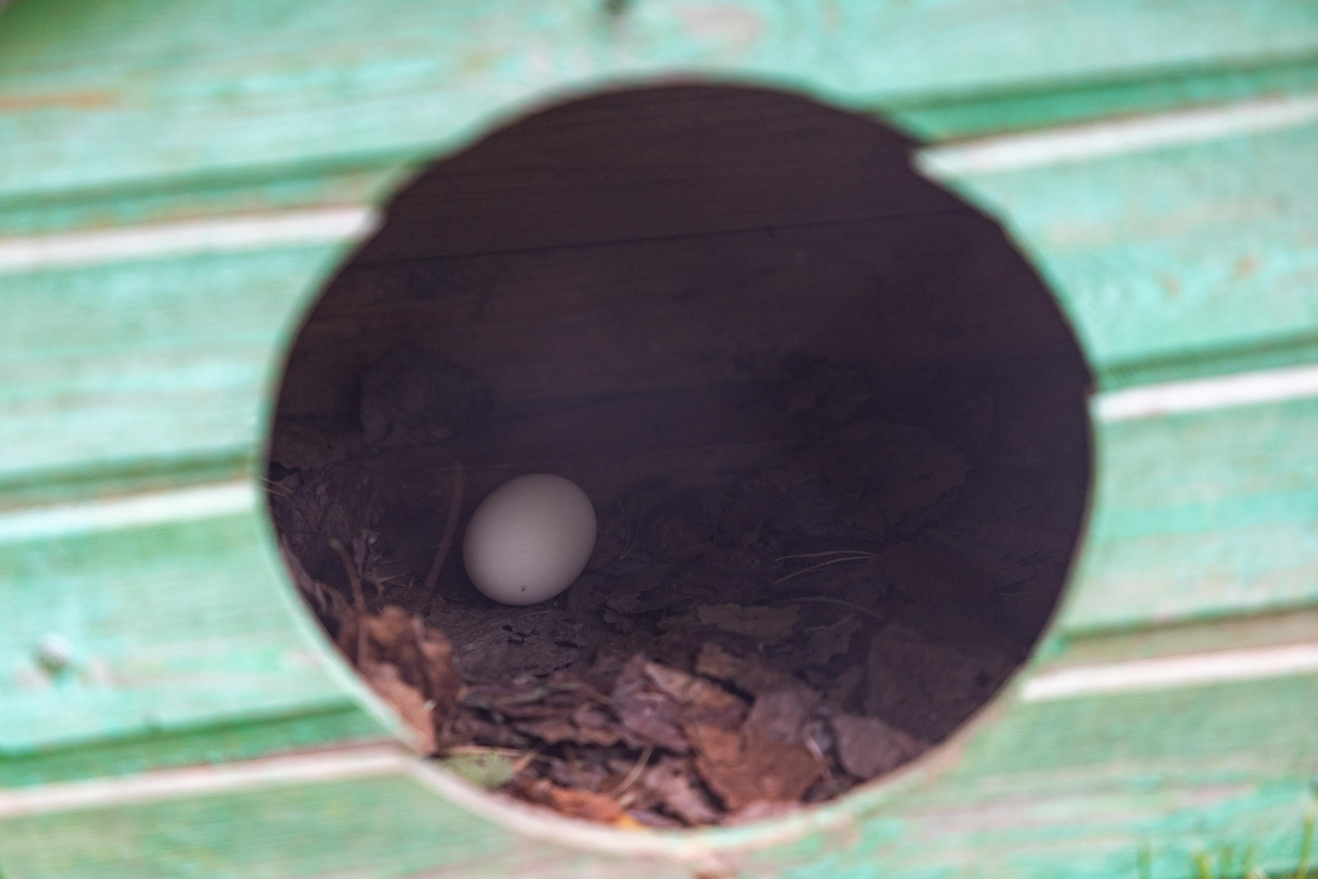 Костромской зоопарк. Photographer Sonkina Tatiana (Tanya Ash)