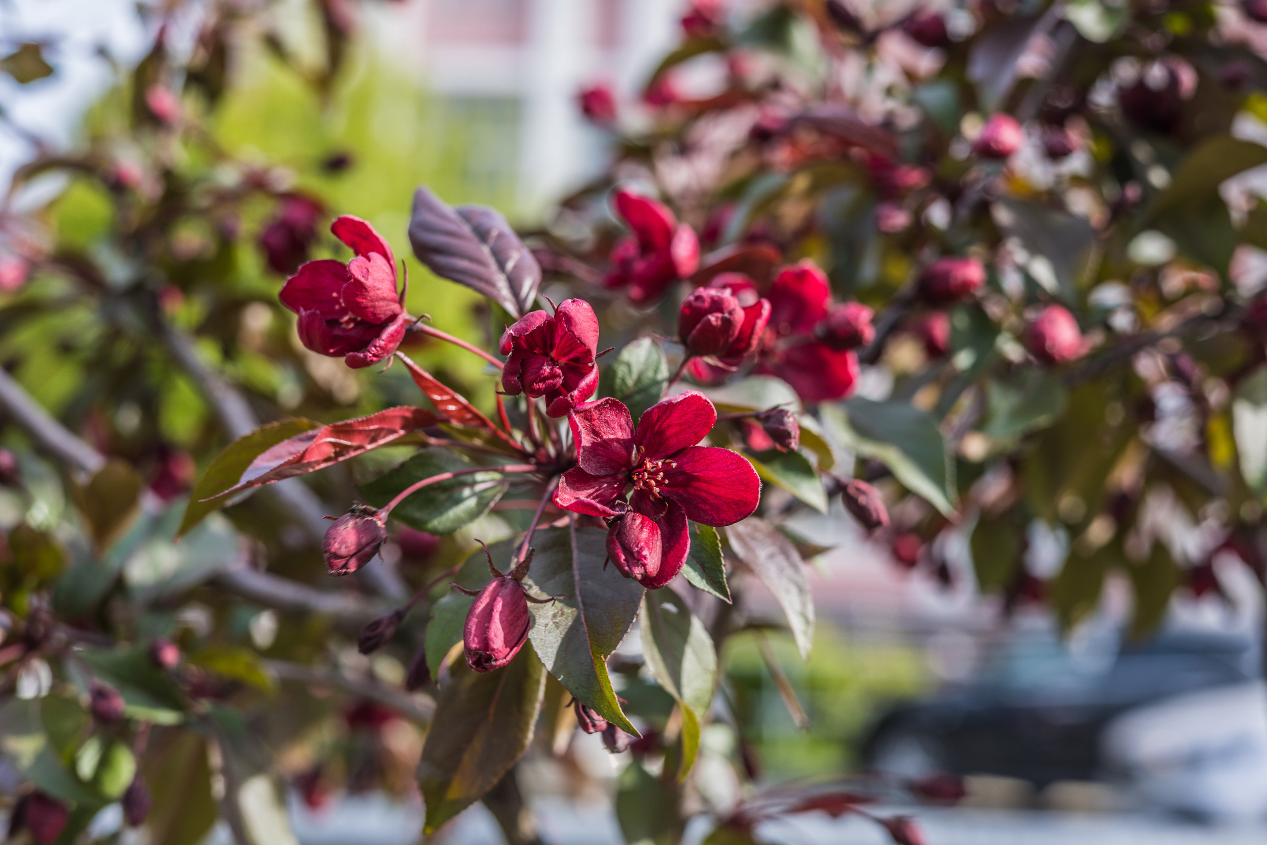 Коллекция пейзажных фотографий. Photographer Sonkina Tatiana (Tanya Ash)