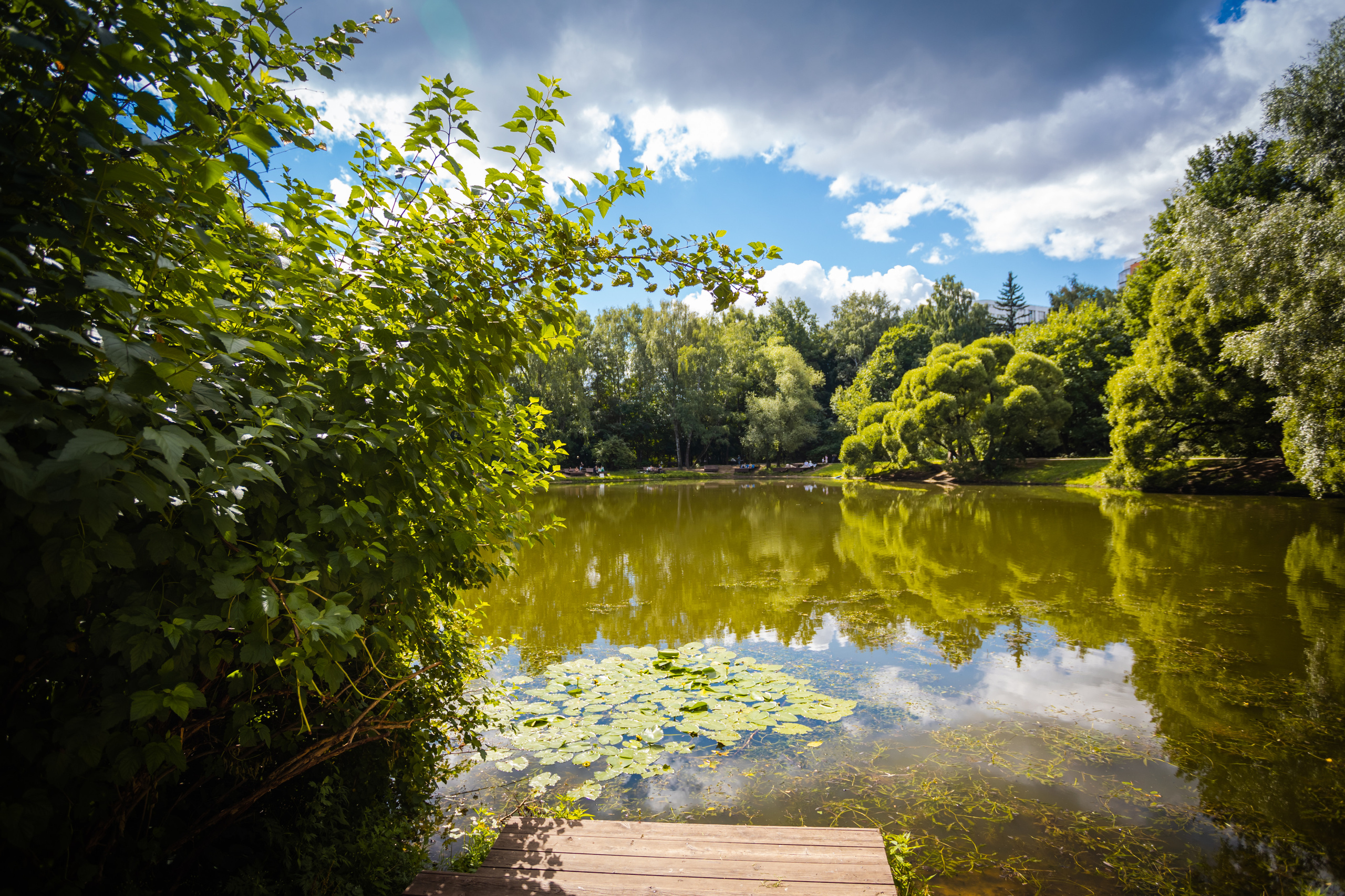 Вид на Нарышкинский пруд в парке "Фили", г. Москва