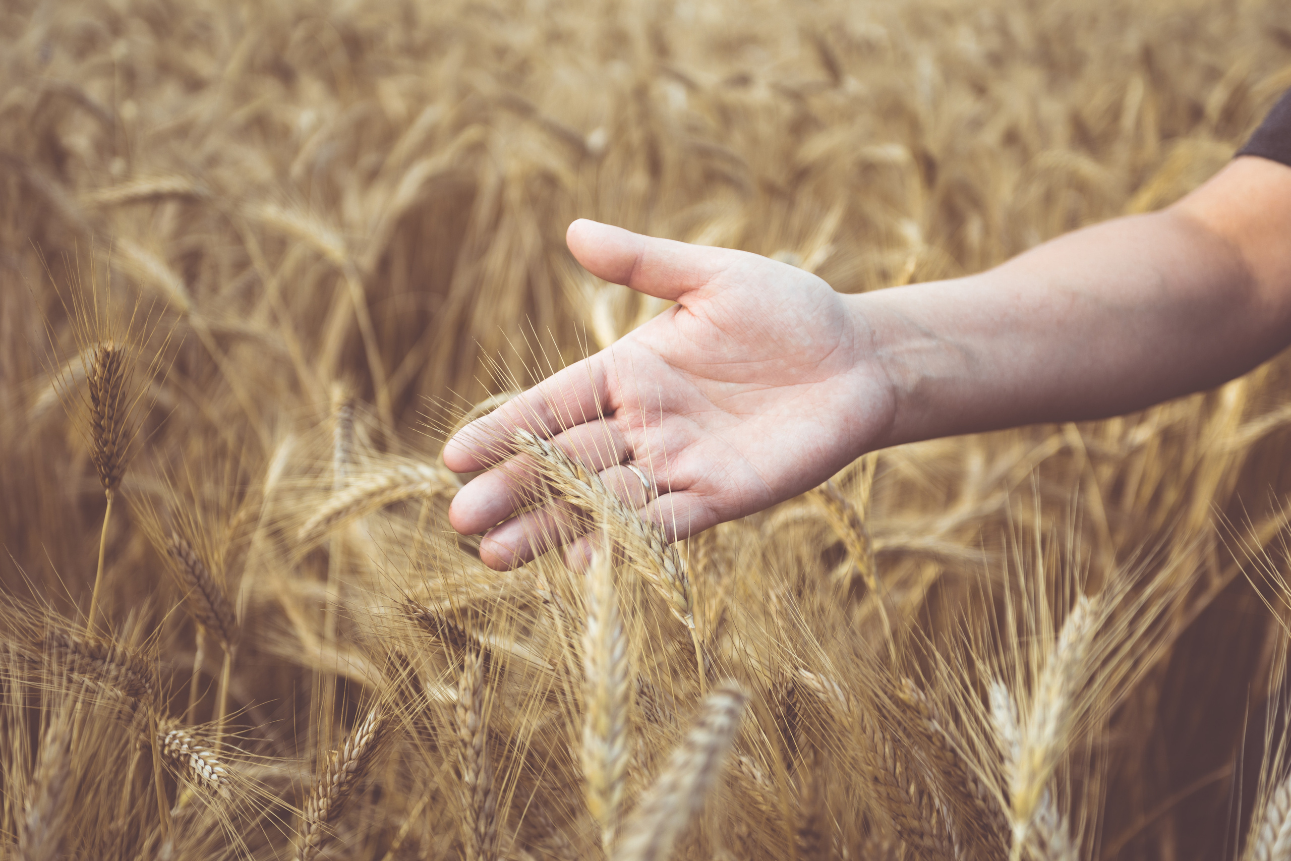 ИНДИВИДУАЛЬНАЯ ФОТОСЕССИЯ. Фотограф Сонкина Татьяна