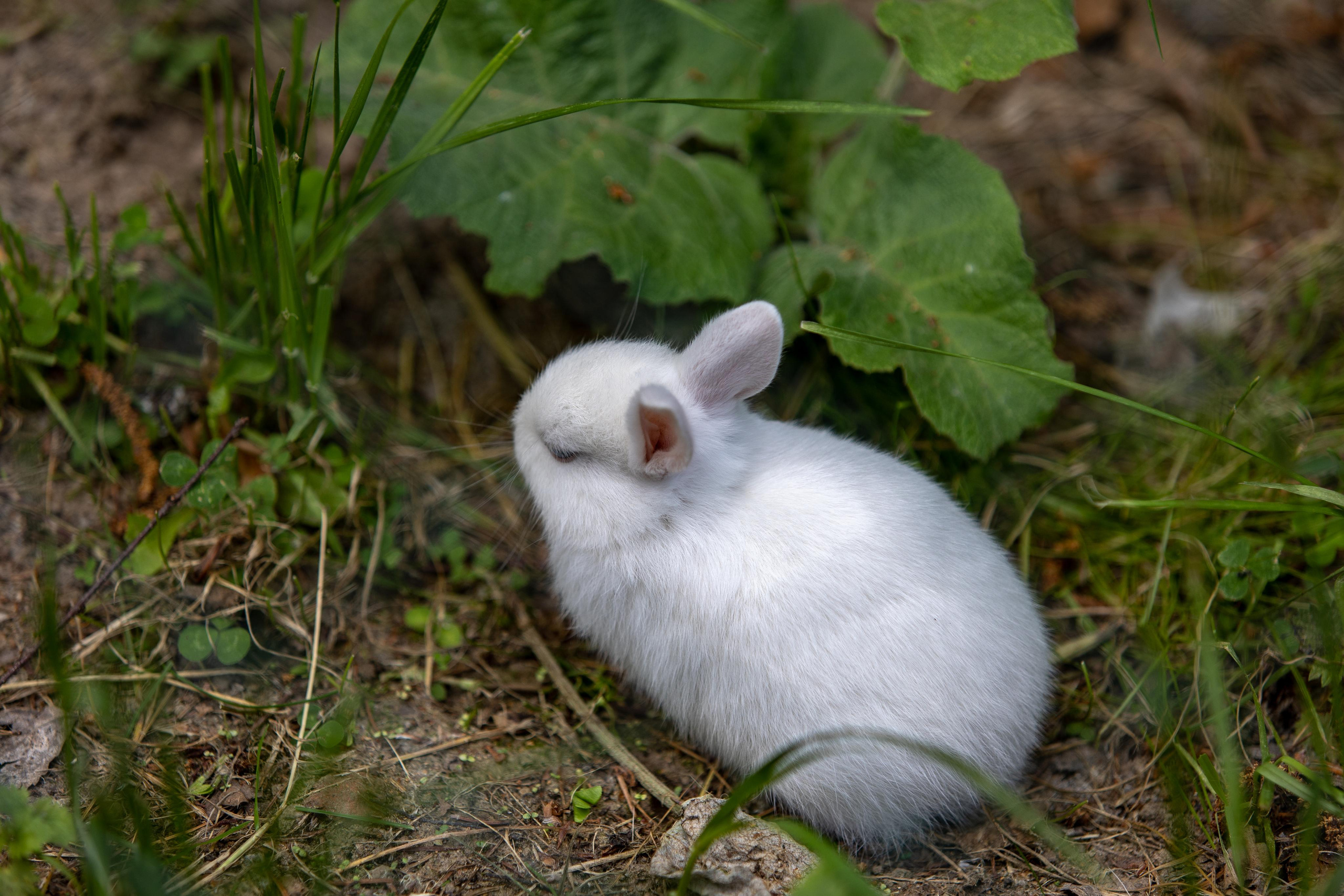 Костромской зоопарк. Photographer Sonkina Tatiana (Tanya Ash)