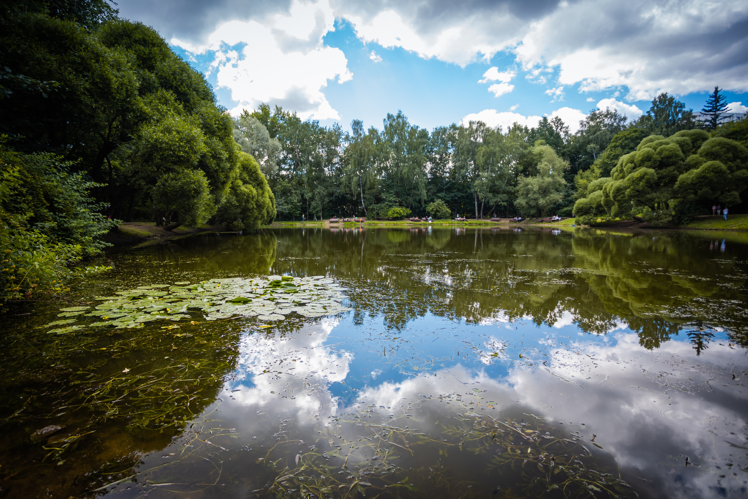 Отражение облаков в Нарышкинском пруду парка "Фили"