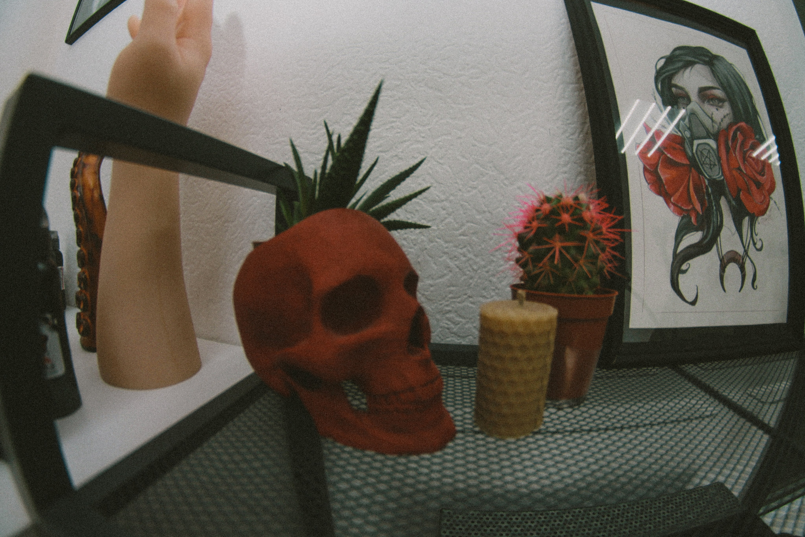 Bobo. Фотограф Мурманск | Нижний Новгород • Анна Хижняк