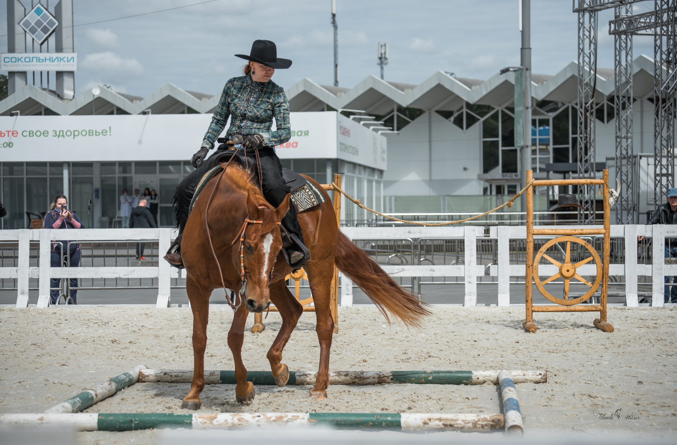 Эквирос, Москва. Конный фотограф в Саратове Юлия Иванова