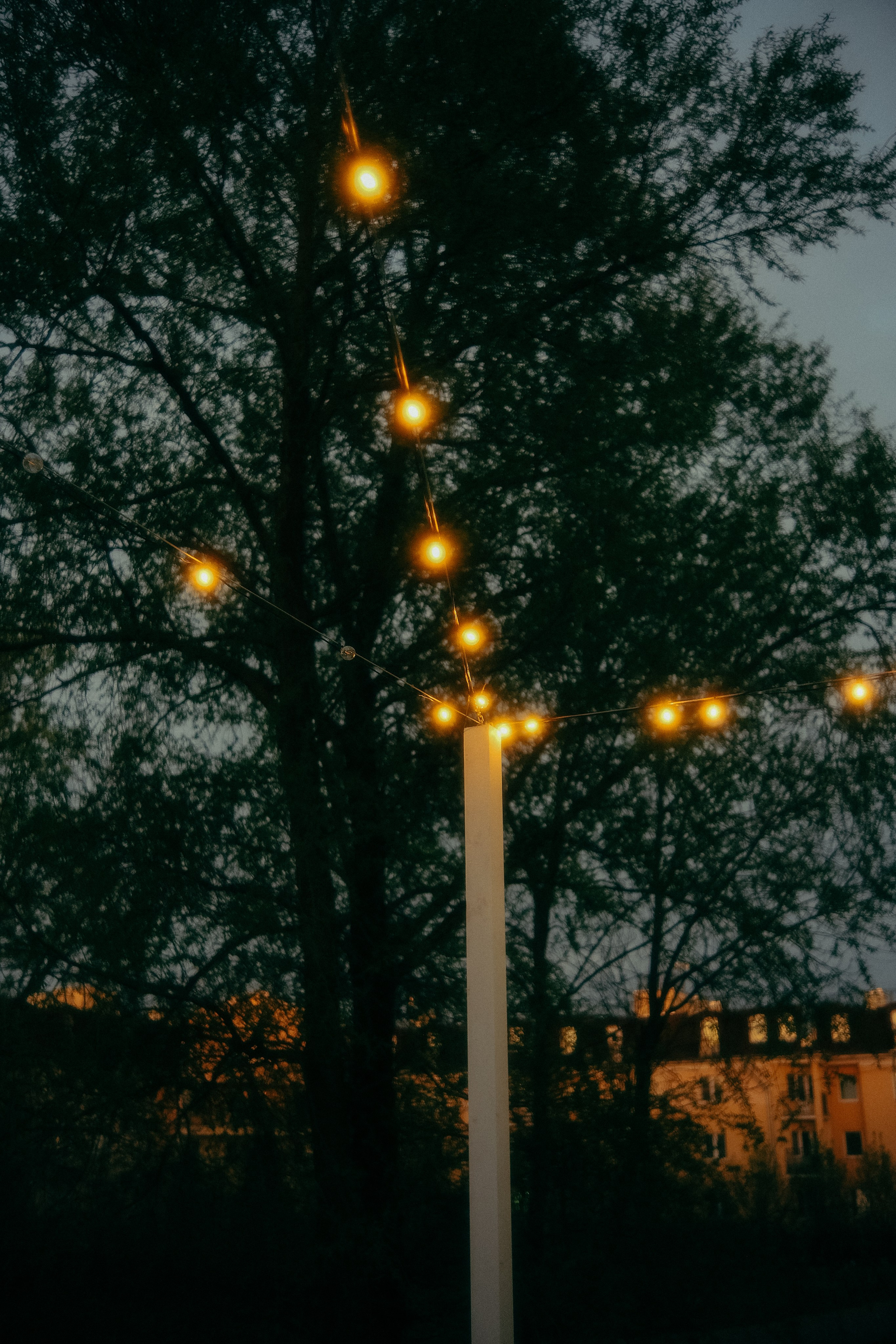 Рида & Богдан. Пушкин. Phdkvmr.ru