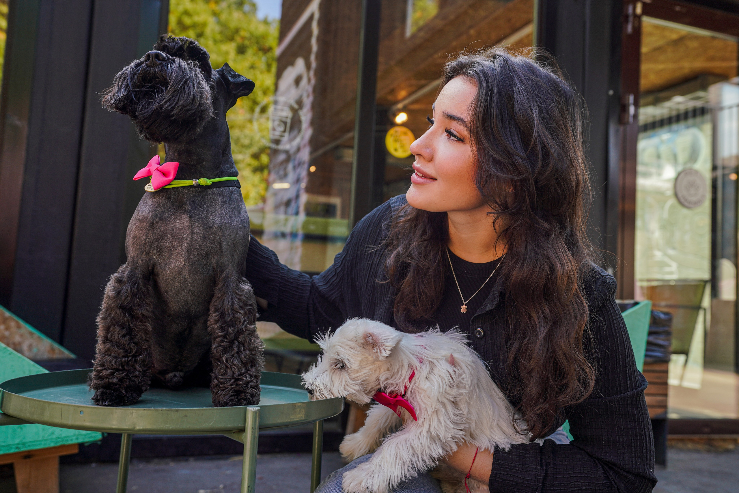 ДР собаки по имени Моррис :). Фотограф Казань