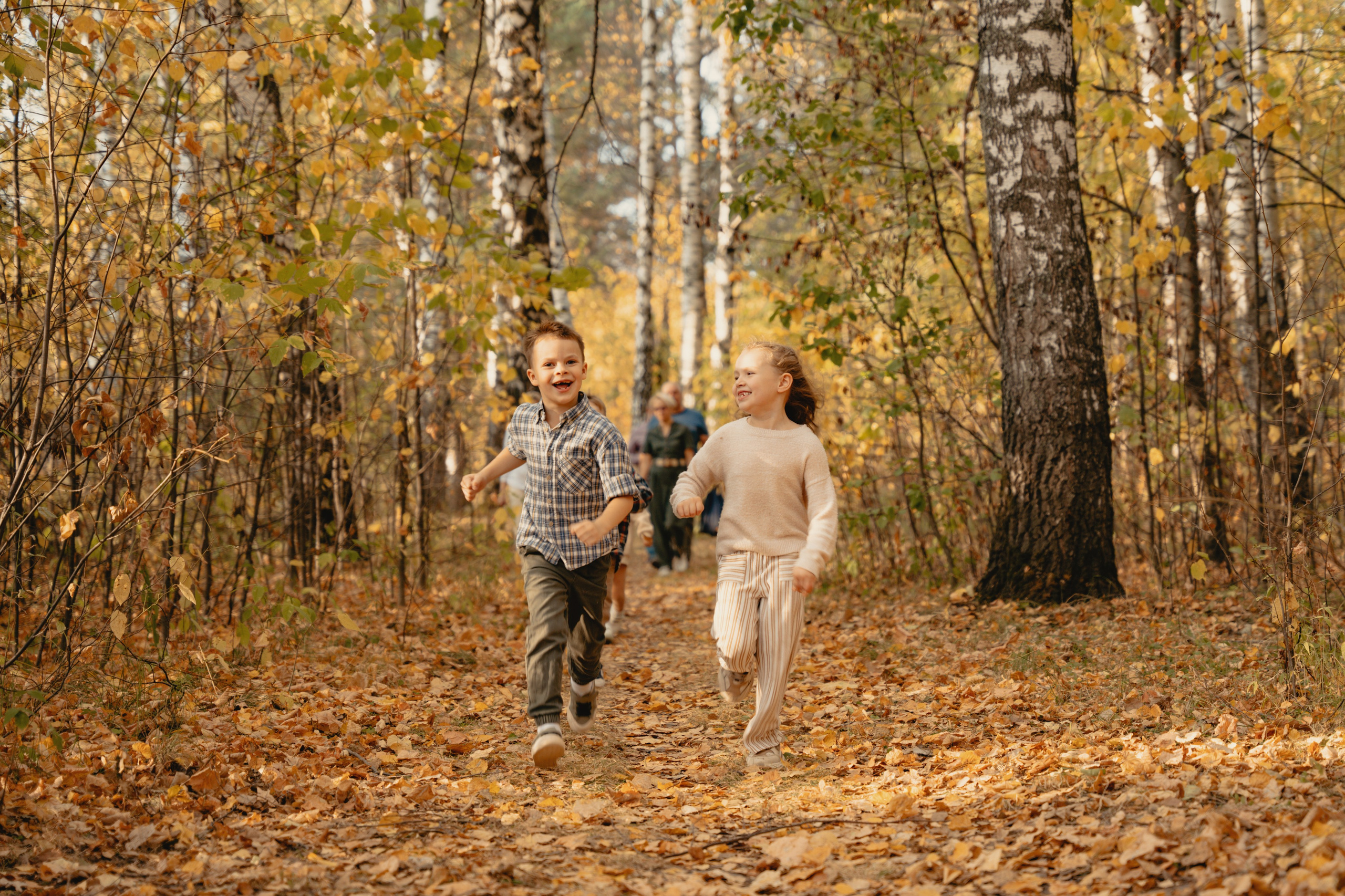 Осенние краски в закате солнца
