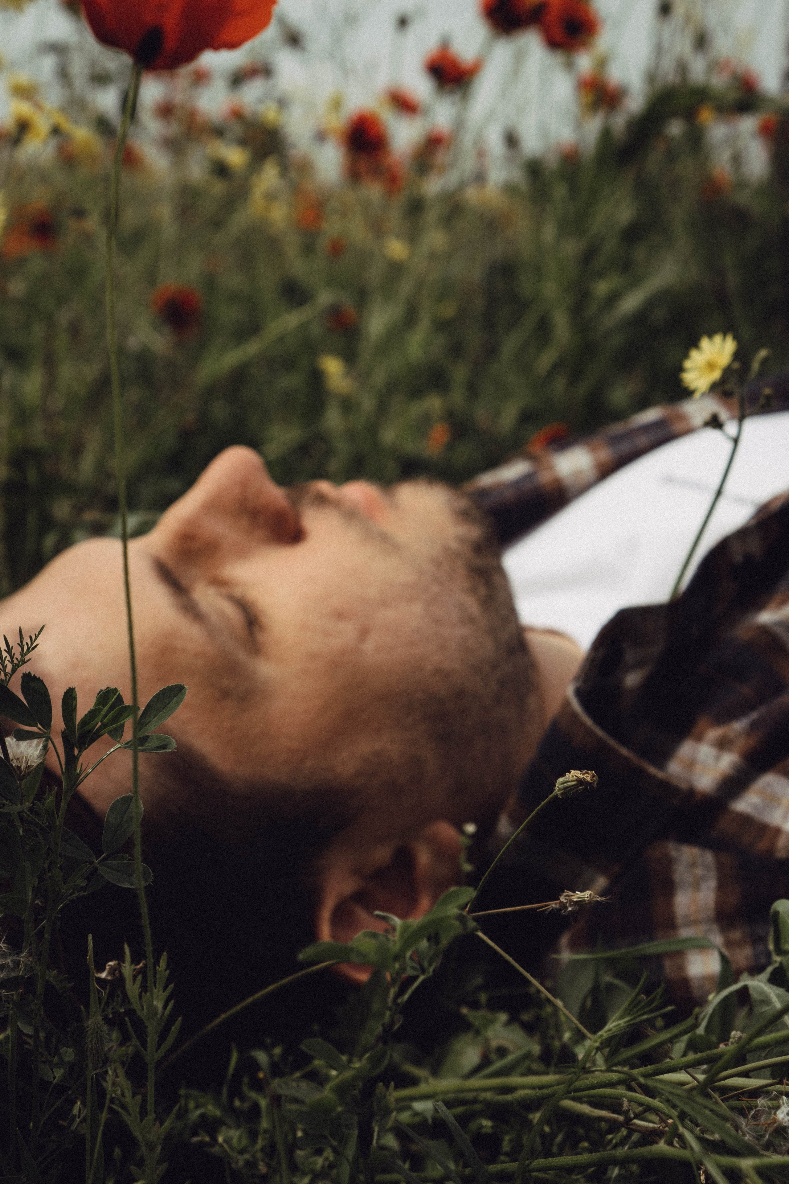 Маки. Профессиональный фотограф, Санкт-Петербург — Виктория Богомолова