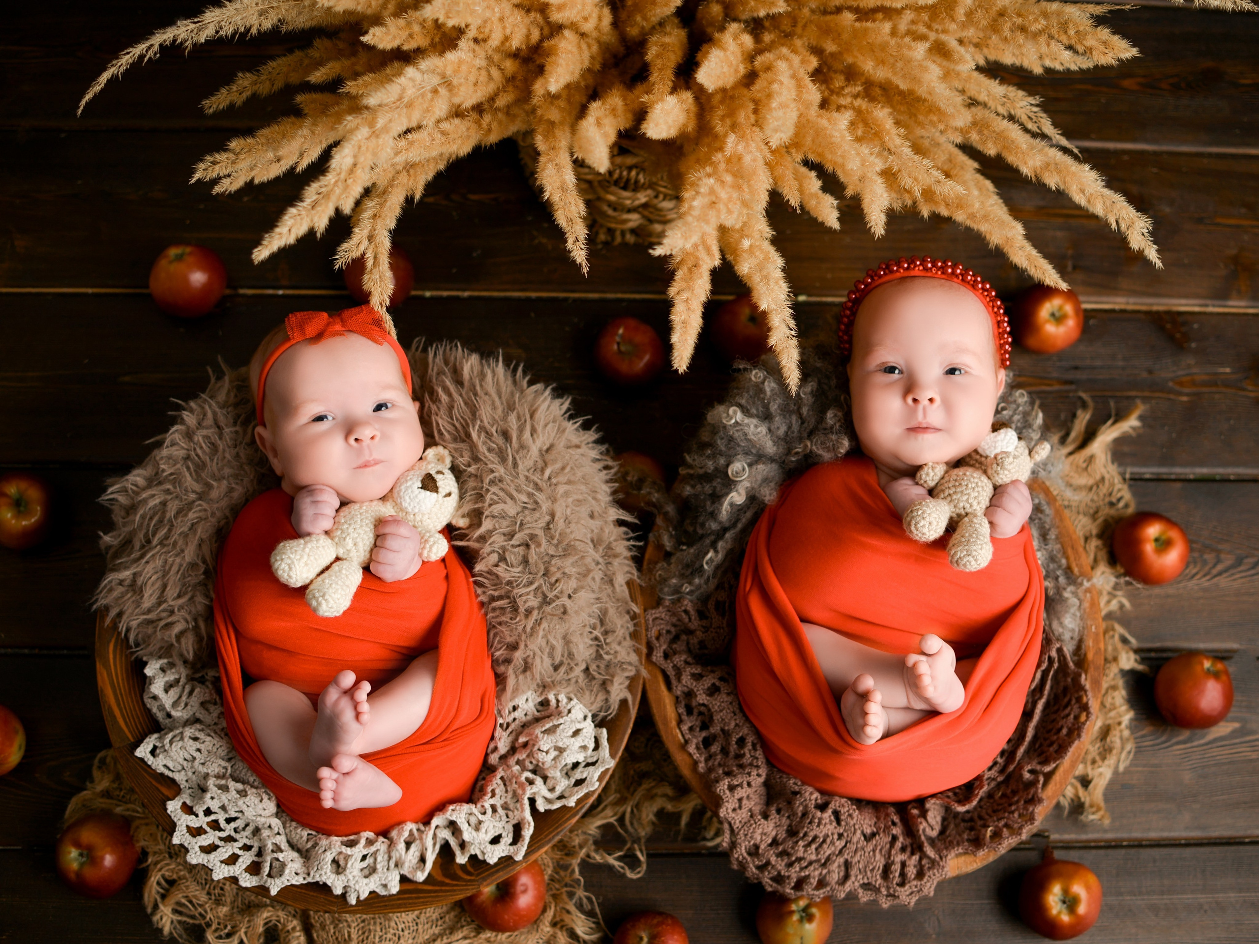 Двойняшки — близнецы. Фотограф новорожденных Краснодар Малышенко Надежда